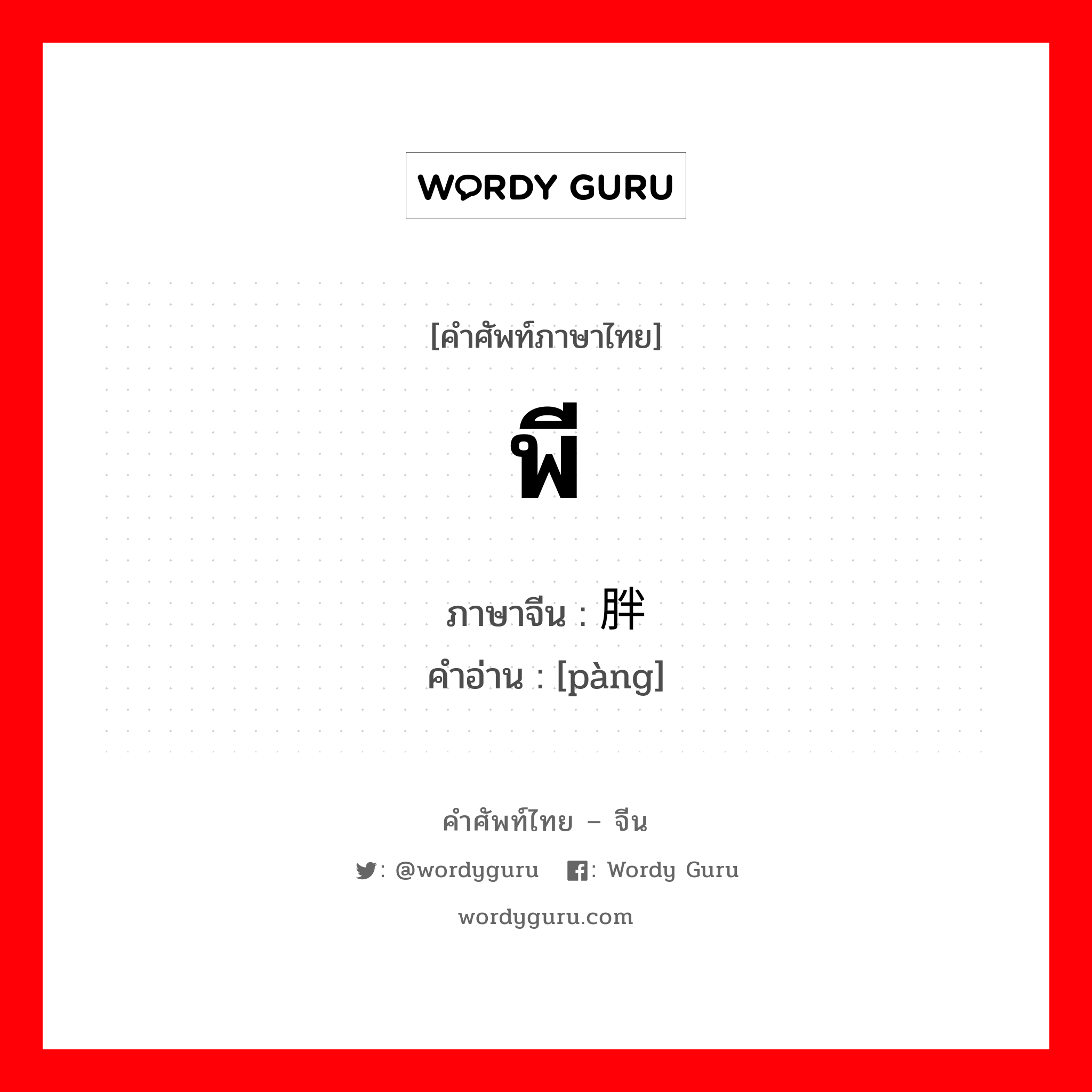 พี ภาษาจีนคืออะไร, คำศัพท์ภาษาไทย - จีน พี ภาษาจีน 胖 คำอ่าน [pàng]