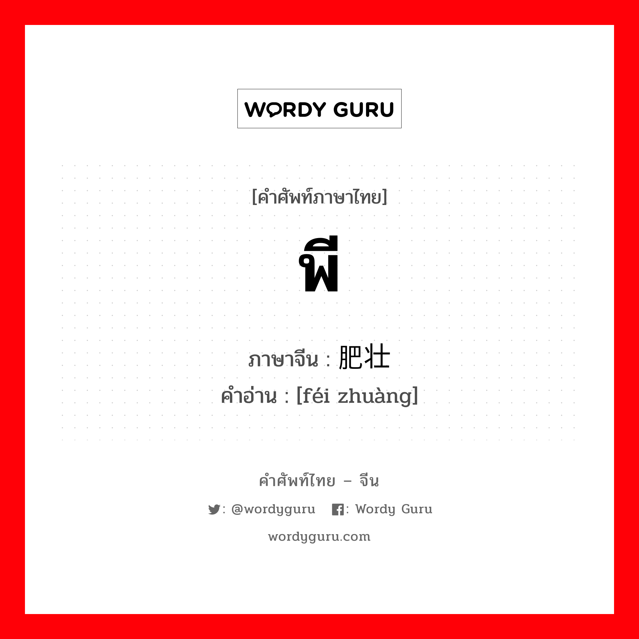 พี ภาษาจีนคืออะไร, คำศัพท์ภาษาไทย - จีน พี ภาษาจีน 肥壮 คำอ่าน [féi zhuàng]