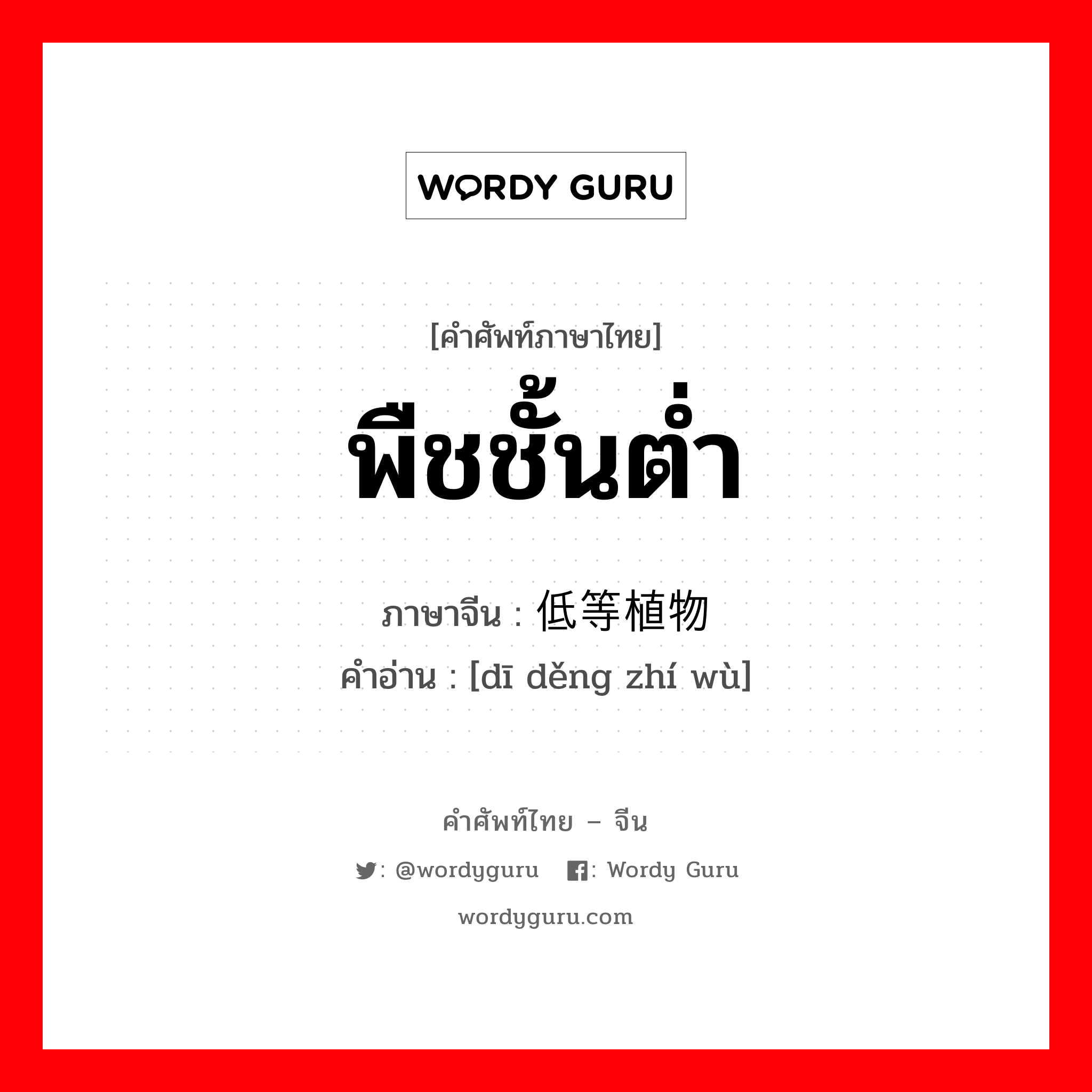 พืชชั้นต่ำ ภาษาจีนคืออะไร, คำศัพท์ภาษาไทย - จีน พืชชั้นต่ำ ภาษาจีน 低等植物 คำอ่าน [dī děng zhí wù]