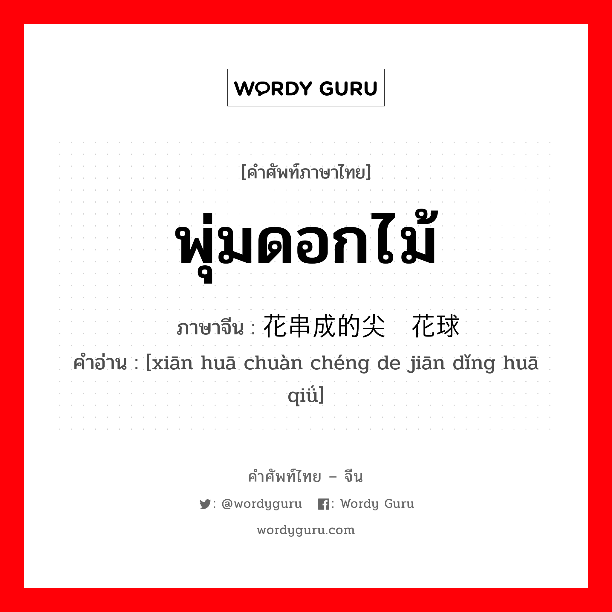 พุ่มดอกไม้ ภาษาจีนคืออะไร, คำศัพท์ภาษาไทย - จีน พุ่มดอกไม้ ภาษาจีน 鲜花串成的尖顶花球 คำอ่าน [xiān huā chuàn chéng de jiān dǐng huā qiǘ]