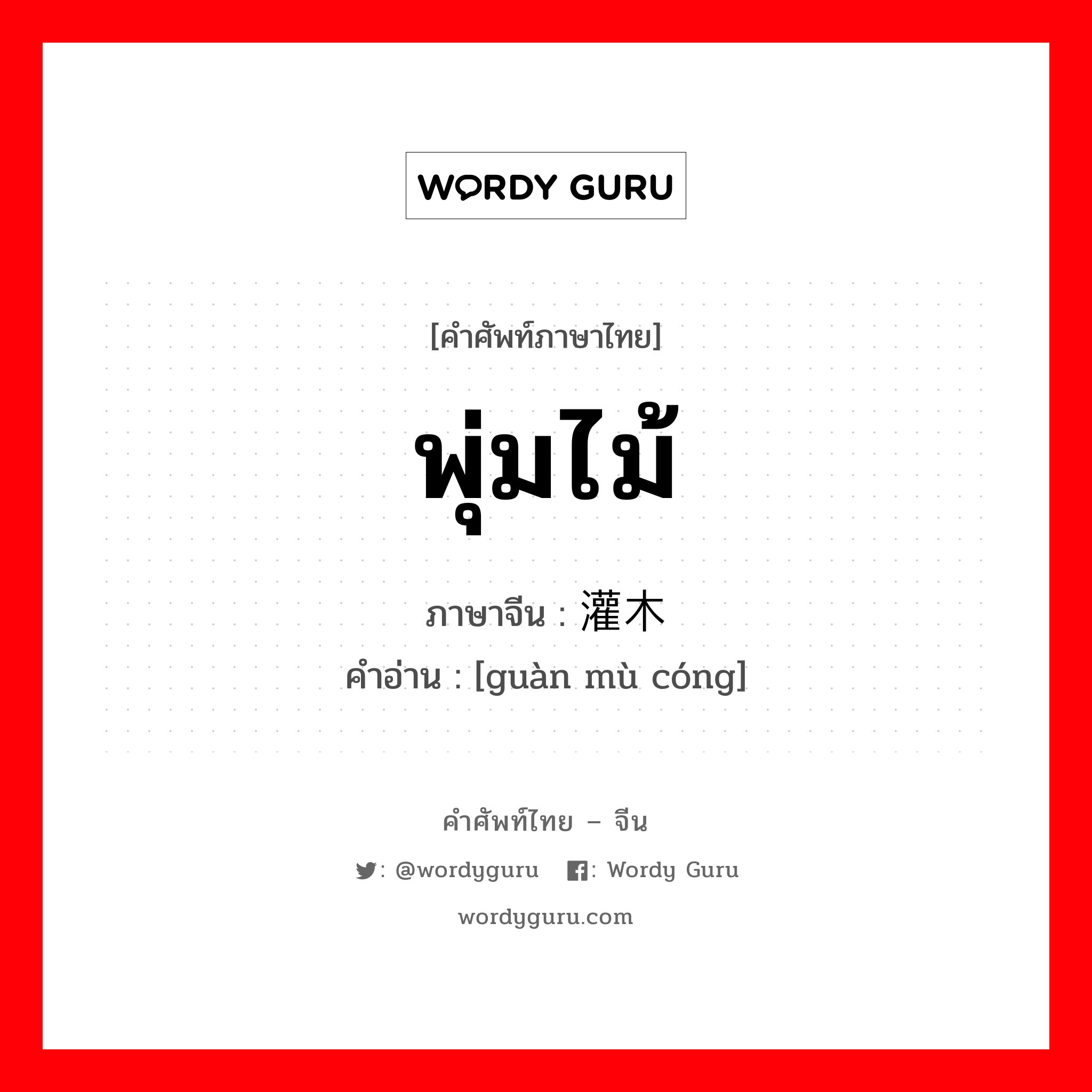 พุ่มไม้ ภาษาจีนคืออะไร, คำศัพท์ภาษาไทย - จีน พุ่มไม้ ภาษาจีน 灌木丛 คำอ่าน [guàn mù cóng]