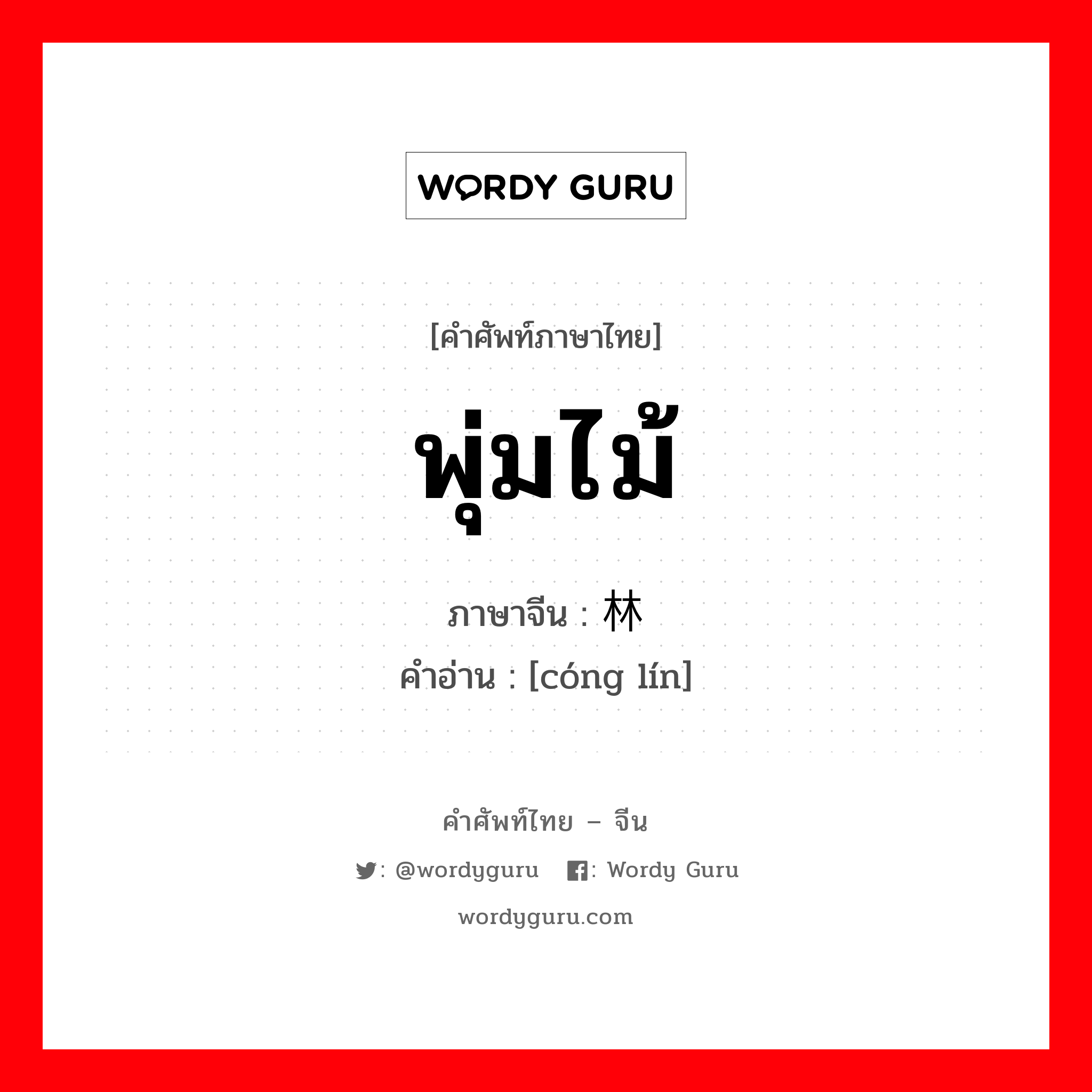 พุ่มไม้ ภาษาจีนคืออะไร, คำศัพท์ภาษาไทย - จีน พุ่มไม้ ภาษาจีน 丛林 คำอ่าน [cóng lín]