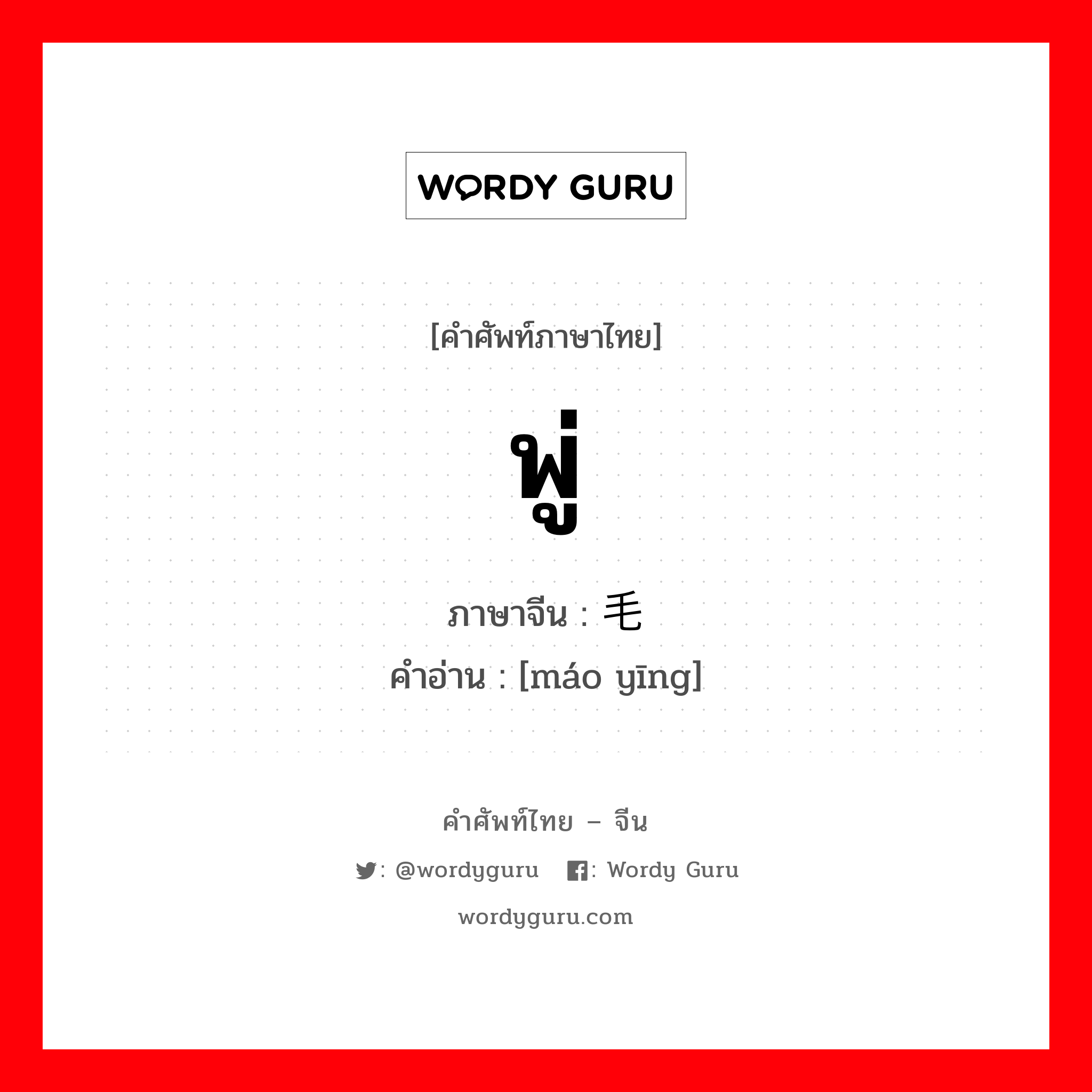 พู่ ภาษาจีนคืออะไร, คำศัพท์ภาษาไทย - จีน พู่ ภาษาจีน 毛缨 คำอ่าน [máo yīng]