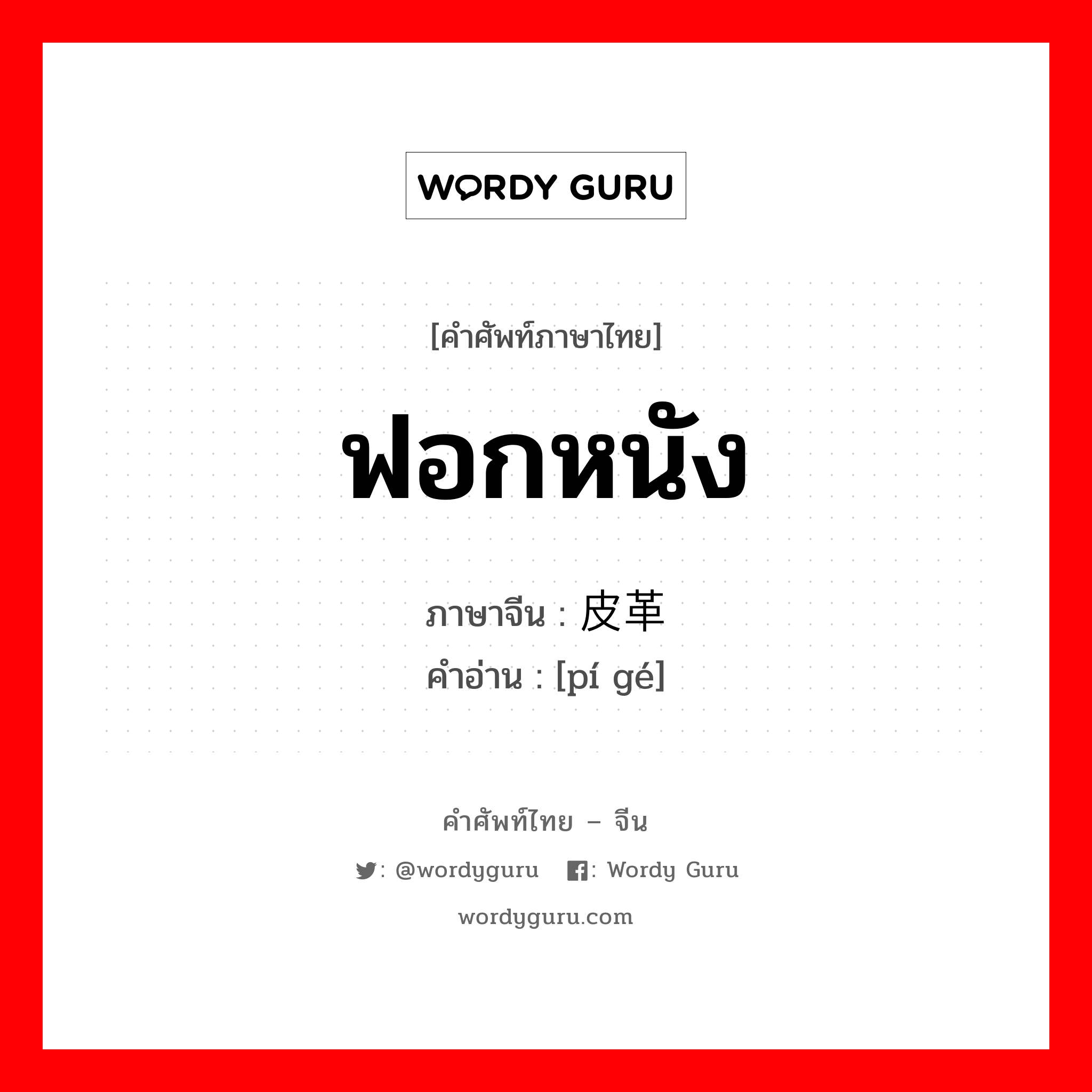 ฟอกหนัง ภาษาจีนคืออะไร, คำศัพท์ภาษาไทย - จีน ฟอกหนัง ภาษาจีน 皮革 คำอ่าน [pí gé]