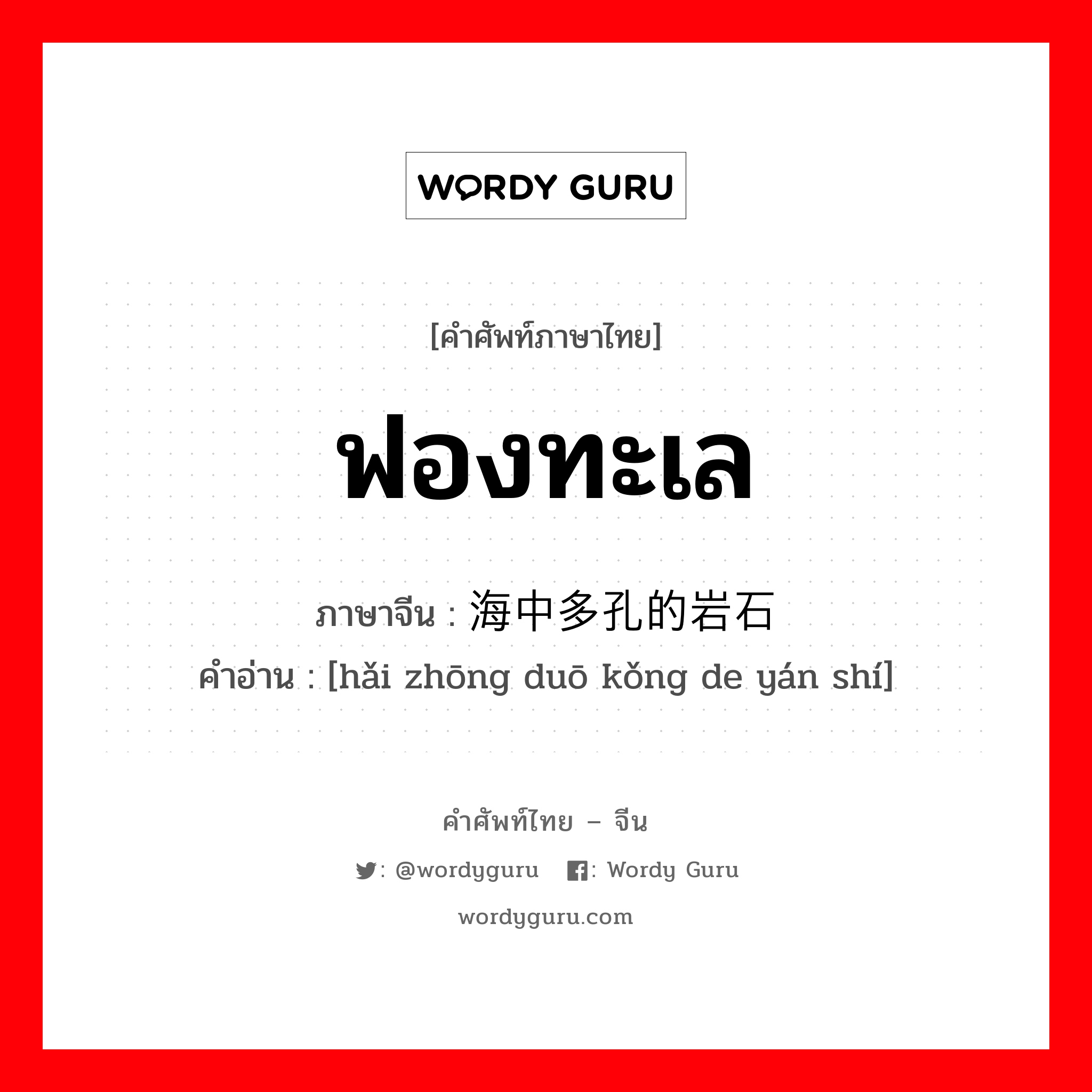 ฟองทะเล ภาษาจีนคืออะไร, คำศัพท์ภาษาไทย - จีน ฟองทะเล ภาษาจีน 海中多孔的岩石 คำอ่าน [hǎi zhōng duō kǒng de yán shí]