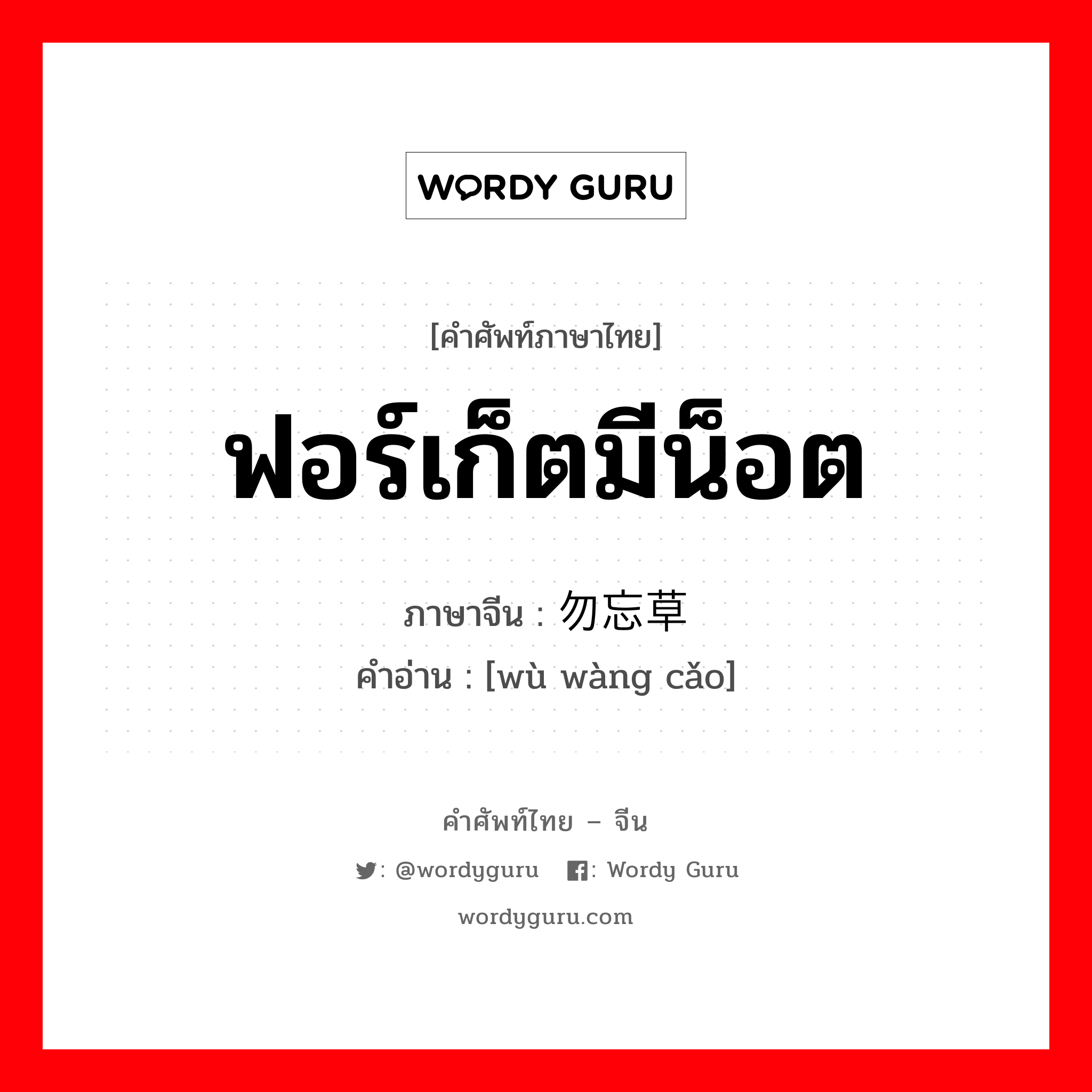 ฟอร์เก็ตมีน็อต ภาษาจีนคืออะไร, คำศัพท์ภาษาไทย - จีน ฟอร์เก็ตมีน็อต ภาษาจีน 勿忘草 คำอ่าน [wù wàng cǎo]