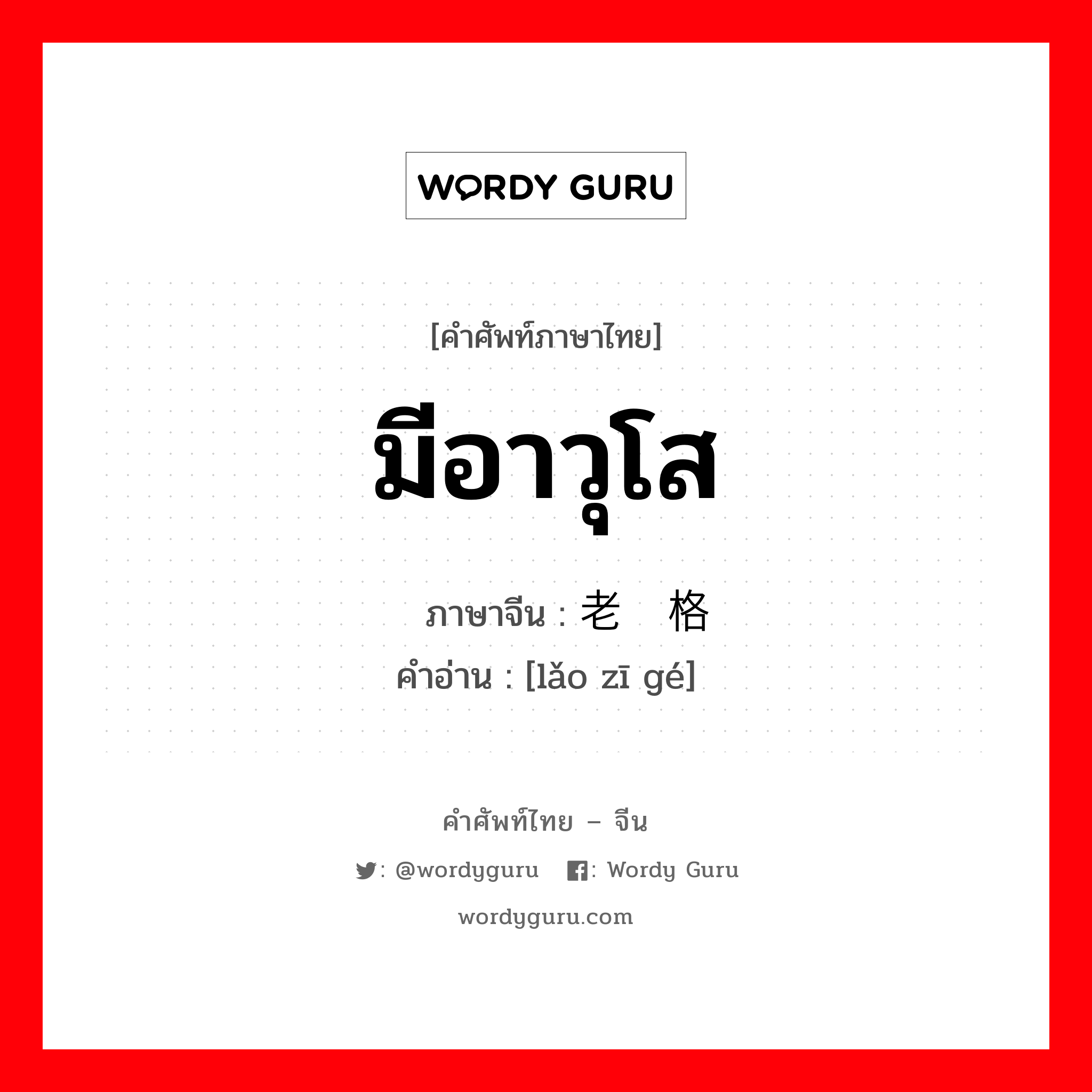 มีอาวุโส ภาษาจีนคืออะไร, คำศัพท์ภาษาไทย - จีน มีอาวุโส ภาษาจีน 老资格 คำอ่าน [lǎo zī gé]