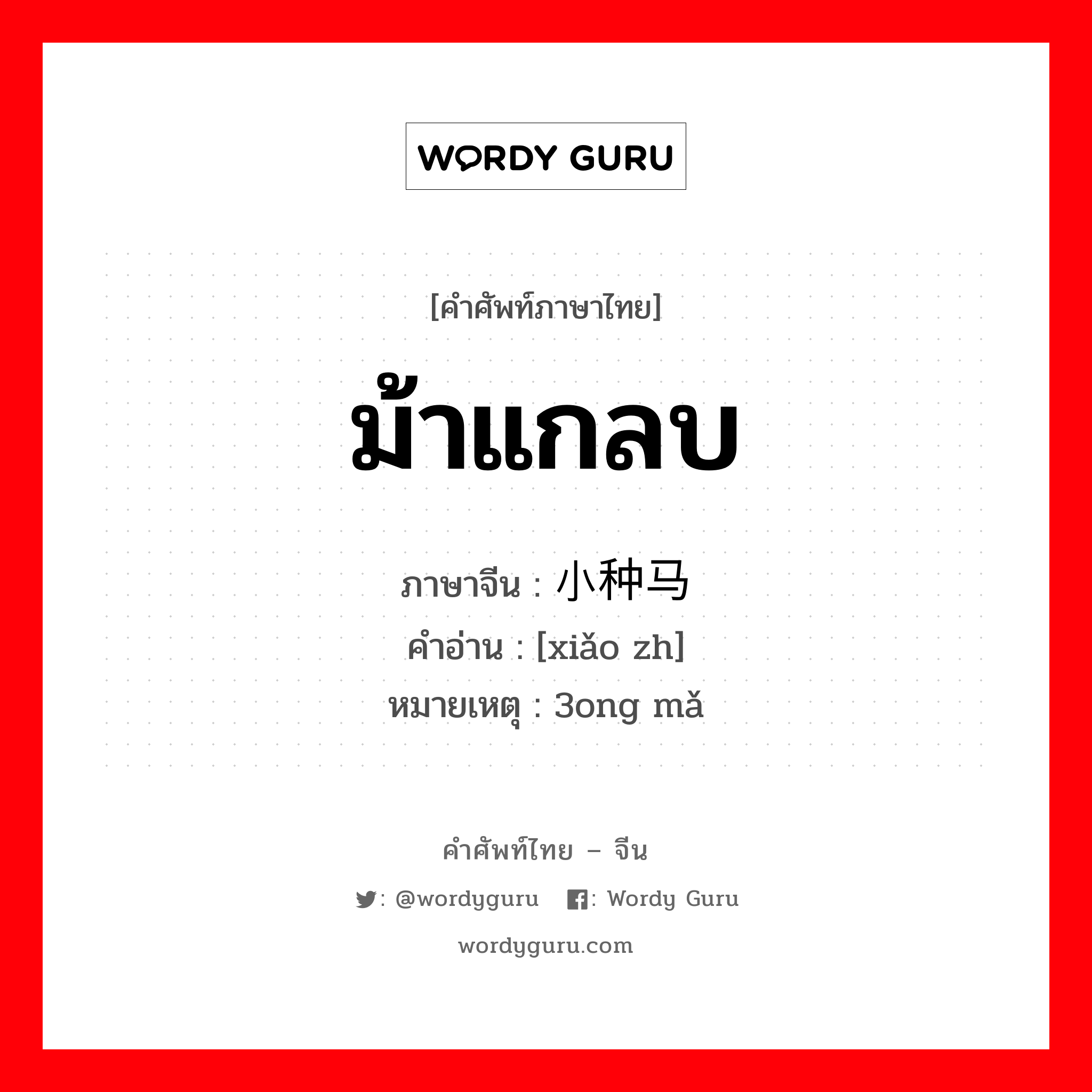 ม้าแกลบ ภาษาจีนคืออะไร, คำศัพท์ภาษาไทย - จีน ม้าแกลบ ภาษาจีน 小种马 คำอ่าน [xiǎo zh] หมายเหตุ 3ong mǎ