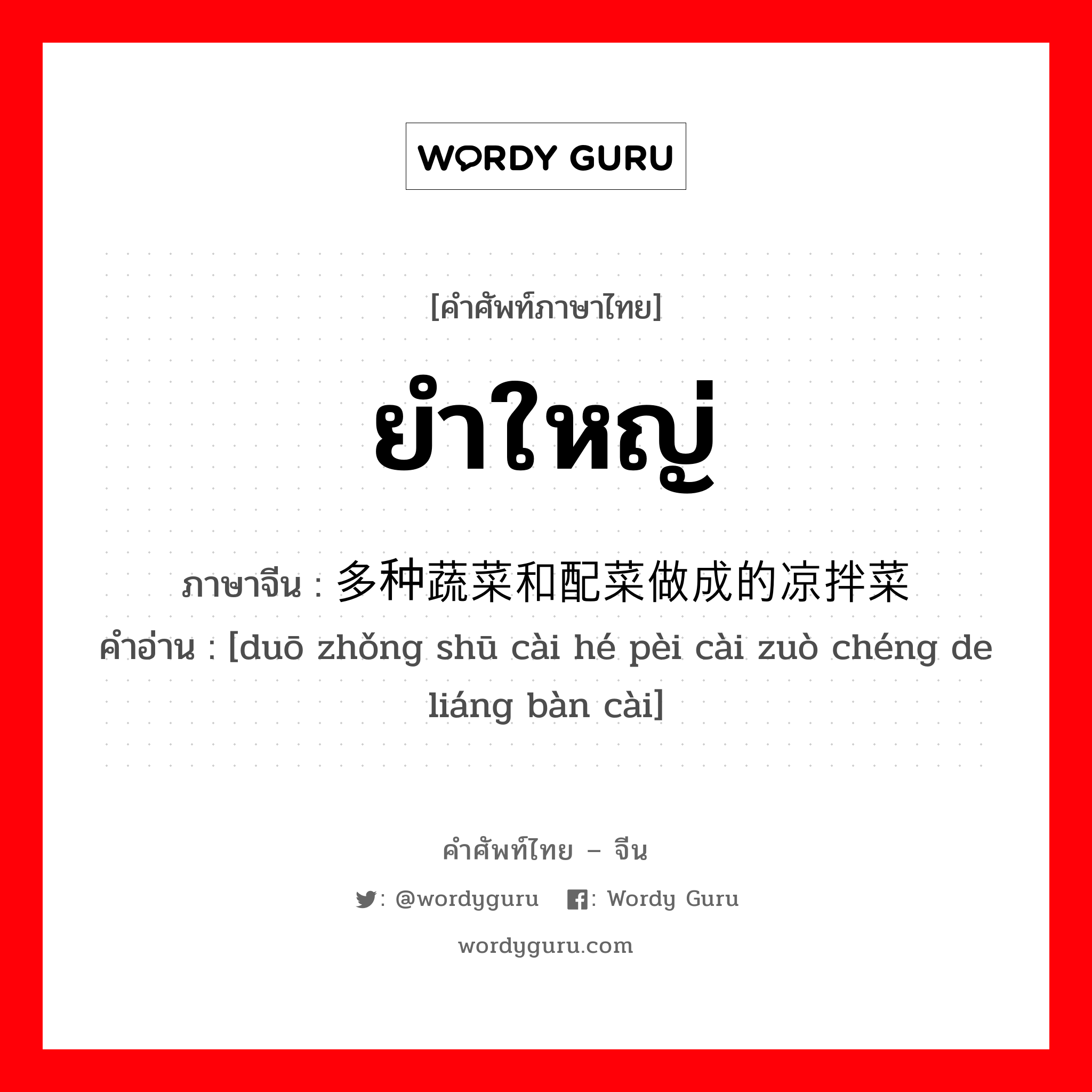 ยำใหญ่ ภาษาจีนคืออะไร, คำศัพท์ภาษาไทย - จีน ยำใหญ่ ภาษาจีน 多种蔬菜和配菜做成的凉拌菜 คำอ่าน [duō zhǒng shū cài hé pèi cài zuò chéng de liáng bàn cài]