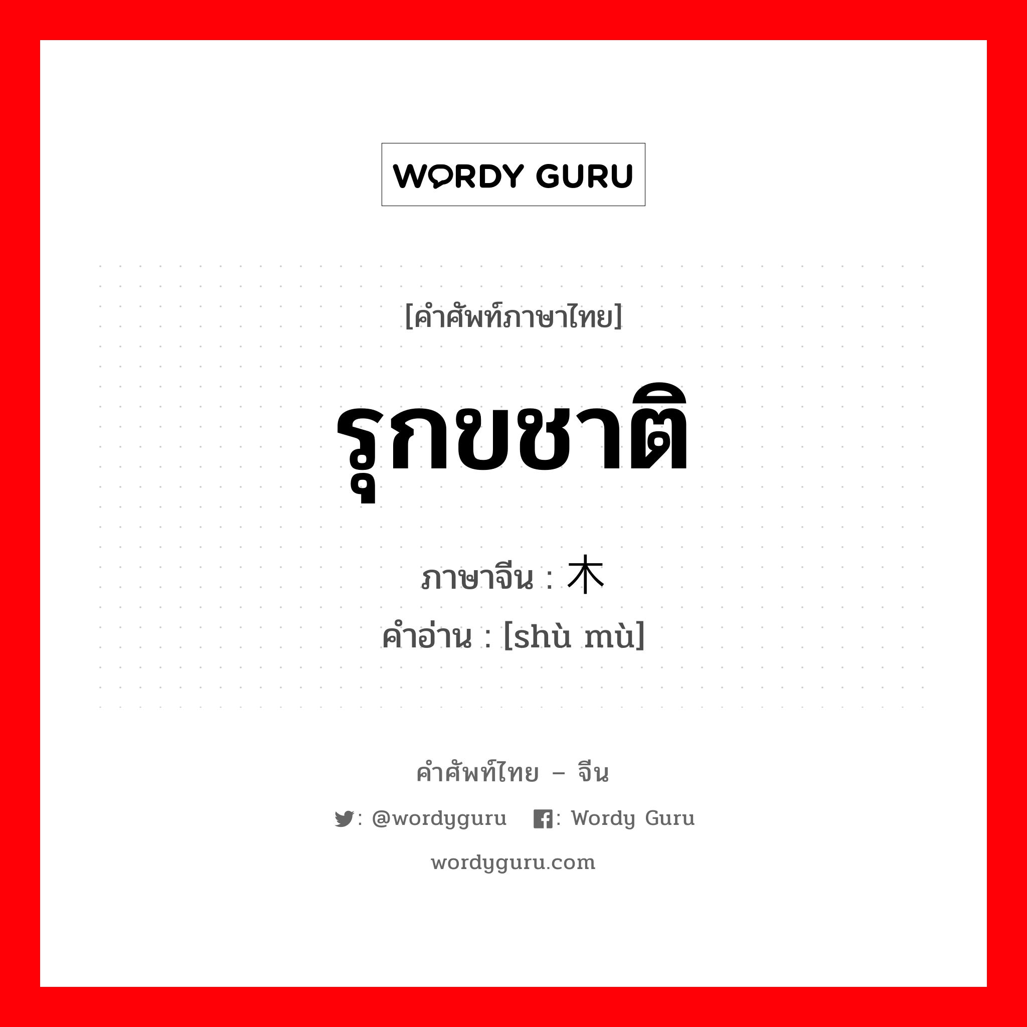 รุกขชาติ ภาษาจีนคืออะไร, คำศัพท์ภาษาไทย - จีน รุกขชาติ ภาษาจีน 树木 คำอ่าน [shù mù]