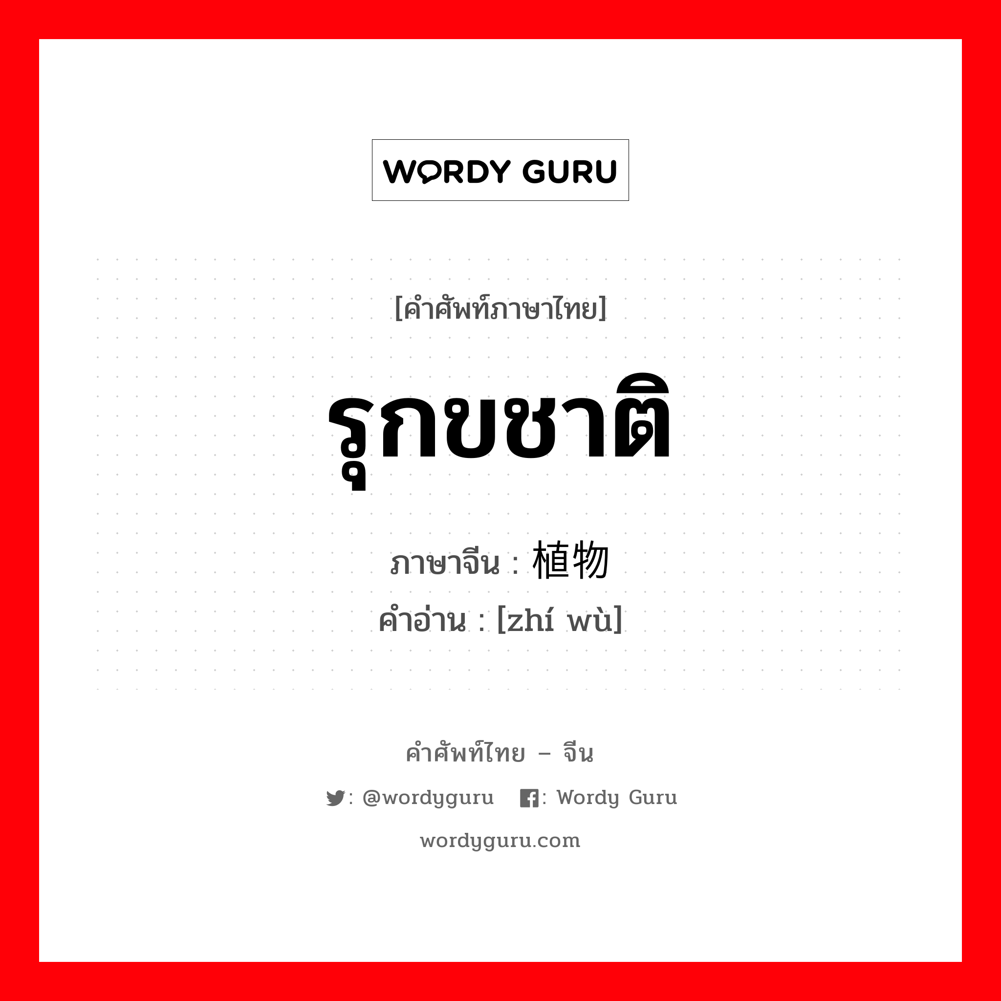 รุกขชาติ ภาษาจีนคืออะไร, คำศัพท์ภาษาไทย - จีน รุกขชาติ ภาษาจีน 植物 คำอ่าน [zhí wù]