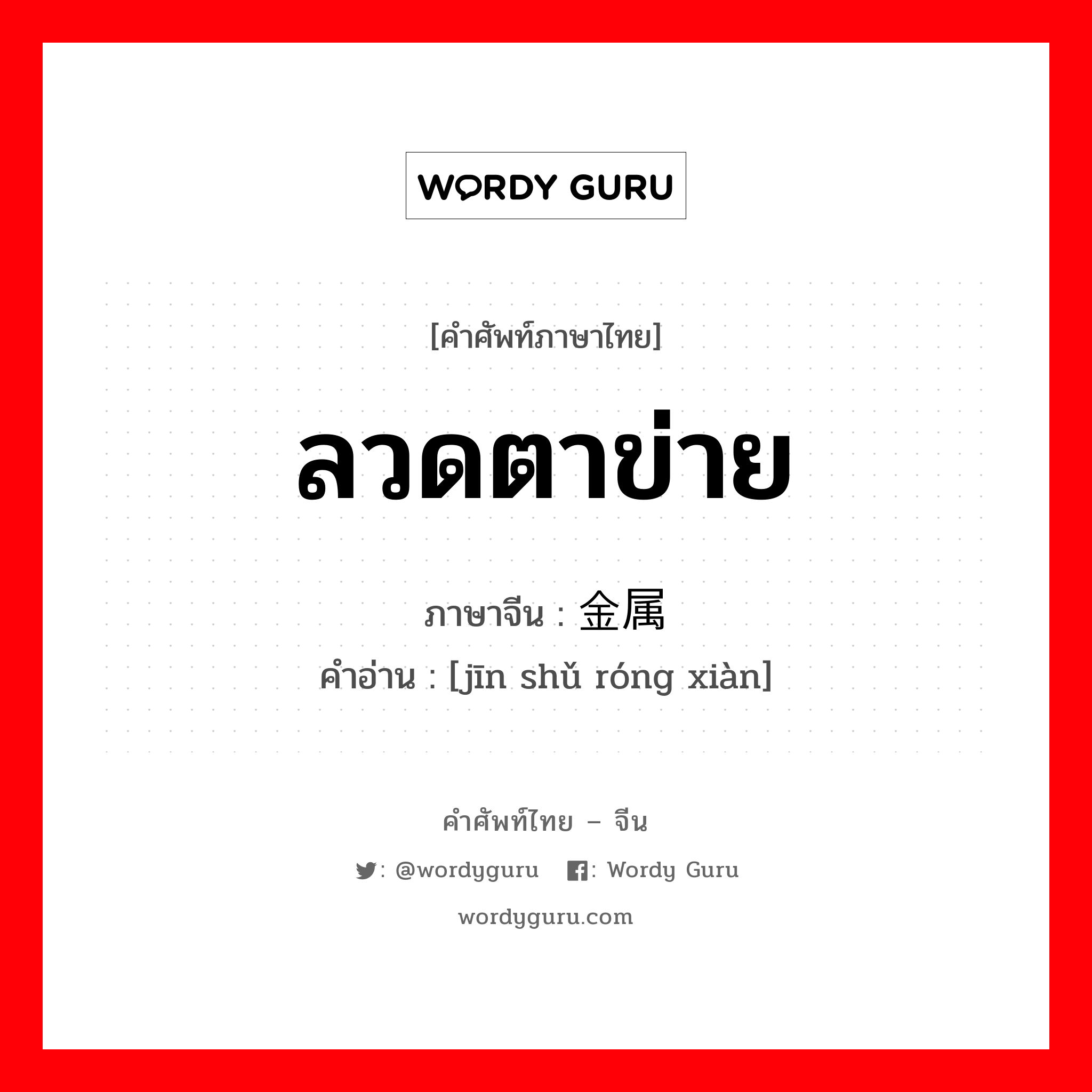 ลวดตาข่าย ภาษาจีนคืออะไร, คำศัพท์ภาษาไทย - จีน ลวดตาข่าย ภาษาจีน 金属丝线 คำอ่าน [jīn shǔ róng xiàn]