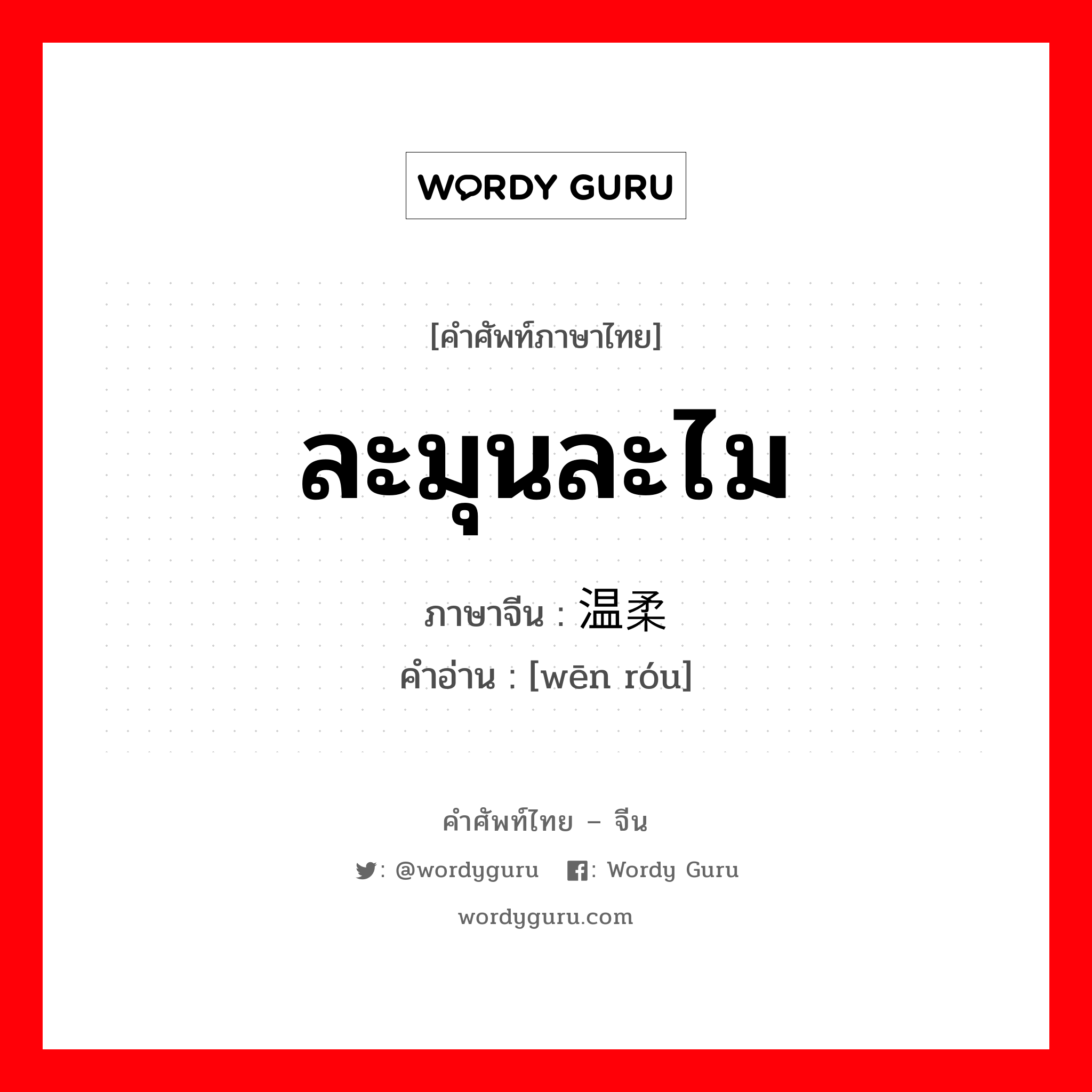 ละมุนละไม ภาษาจีนคืออะไร, คำศัพท์ภาษาไทย - จีน ละมุนละไม ภาษาจีน 温柔 คำอ่าน [wēn róu]