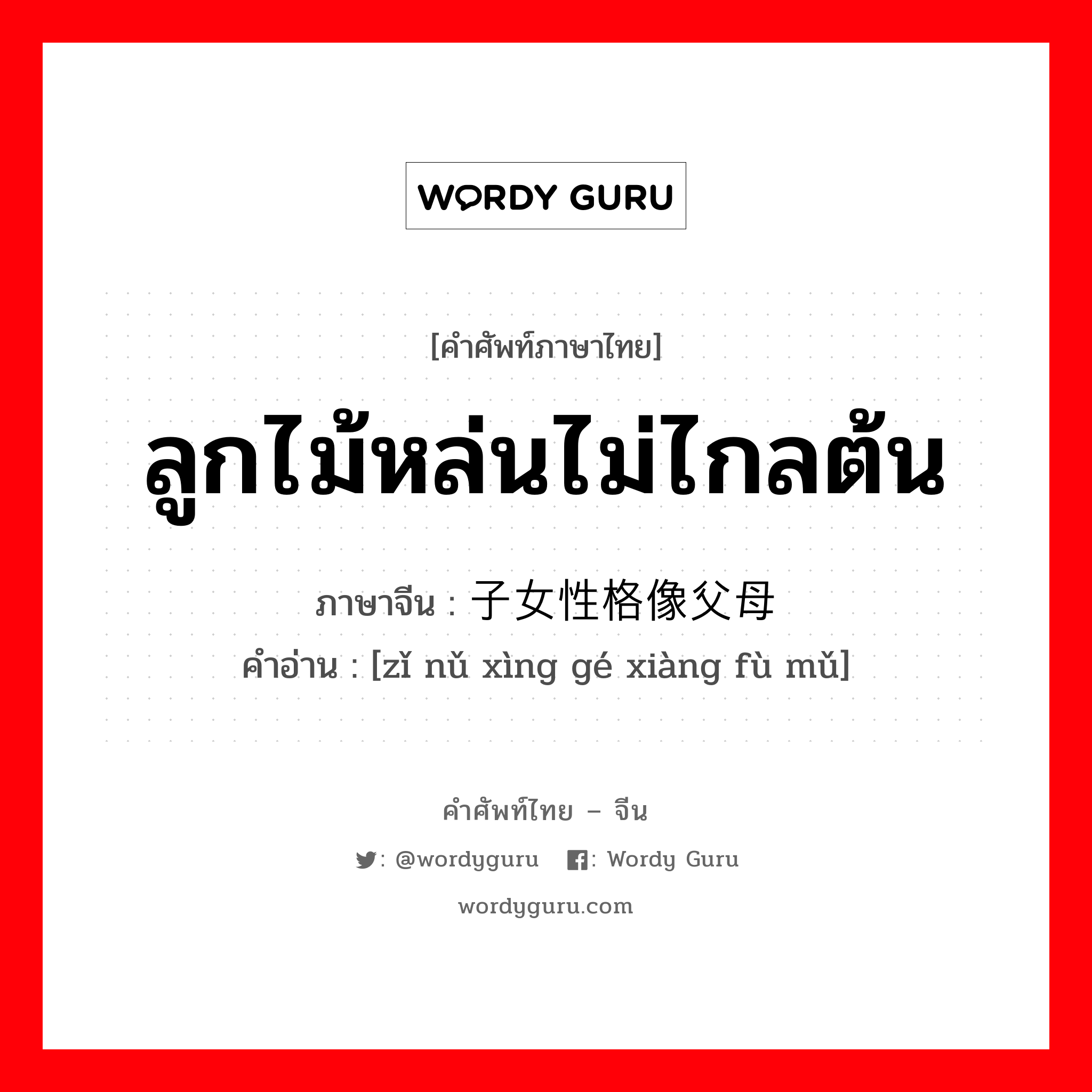 ลูกไม้หล่นไม่ไกลต้น ภาษาจีนคืออะไร, คำศัพท์ภาษาไทย - จีน ลูกไม้หล่นไม่ไกลต้น ภาษาจีน 子女性格像父母 คำอ่าน [zǐ nǔ xìng gé xiàng fù mǔ]