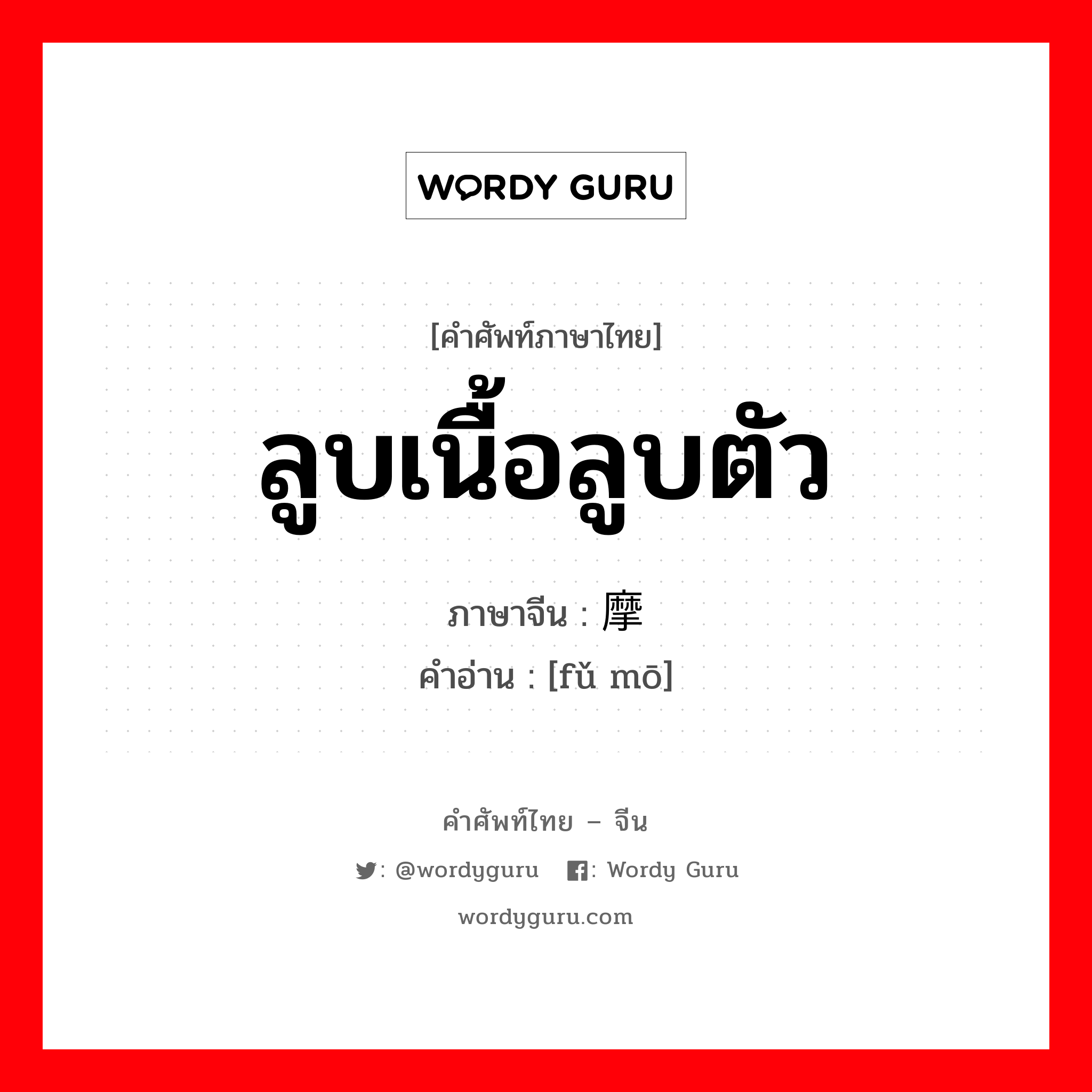 ลูบเนื้อลูบตัว ภาษาจีนคืออะไร, คำศัพท์ภาษาไทย - จีน ลูบเนื้อลูบตัว ภาษาจีน 抚摩 คำอ่าน [fǔ mō]