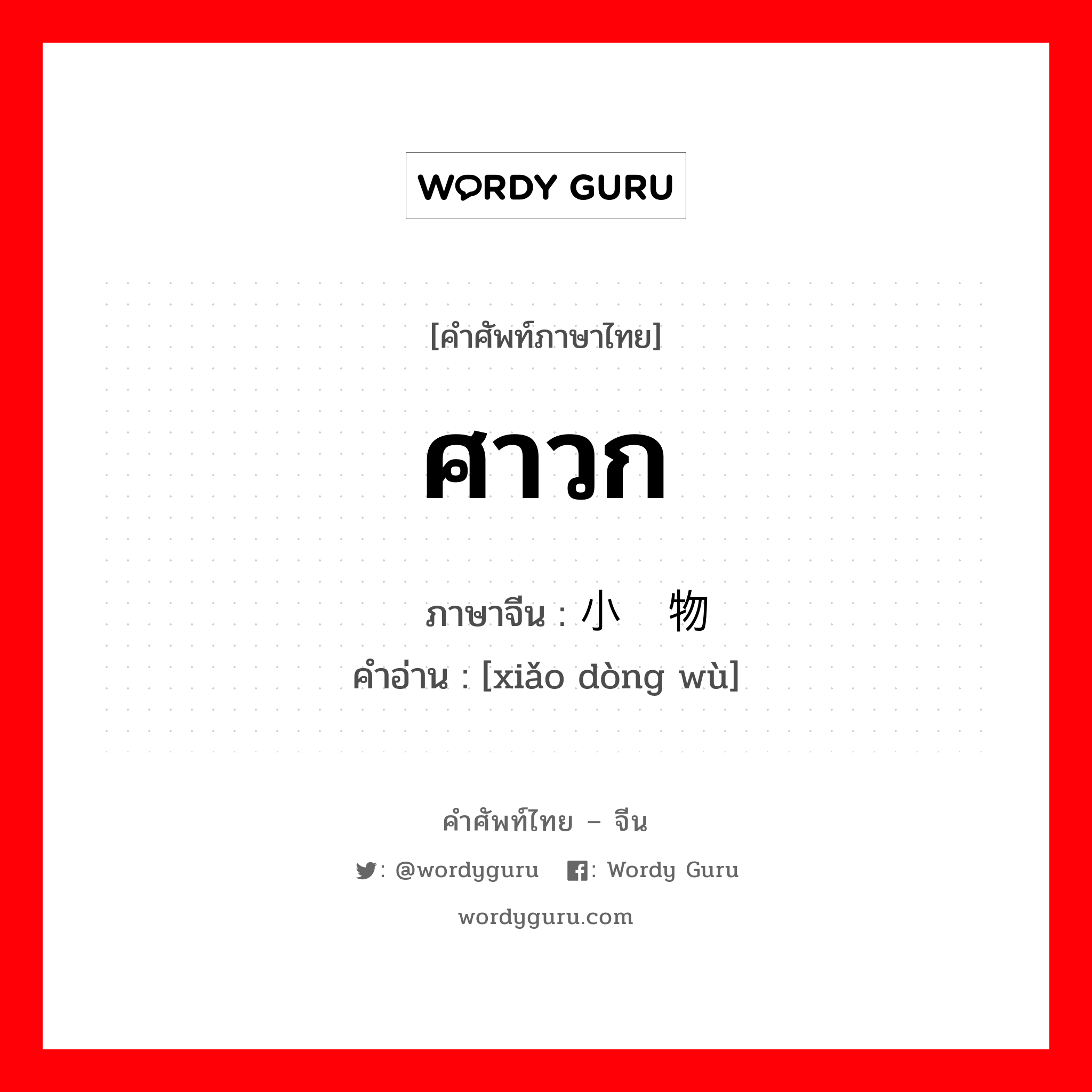 ศาวก ภาษาจีนคืออะไร, คำศัพท์ภาษาไทย - จีน ศาวก ภาษาจีน 小动物 คำอ่าน [xiǎo dòng wù]