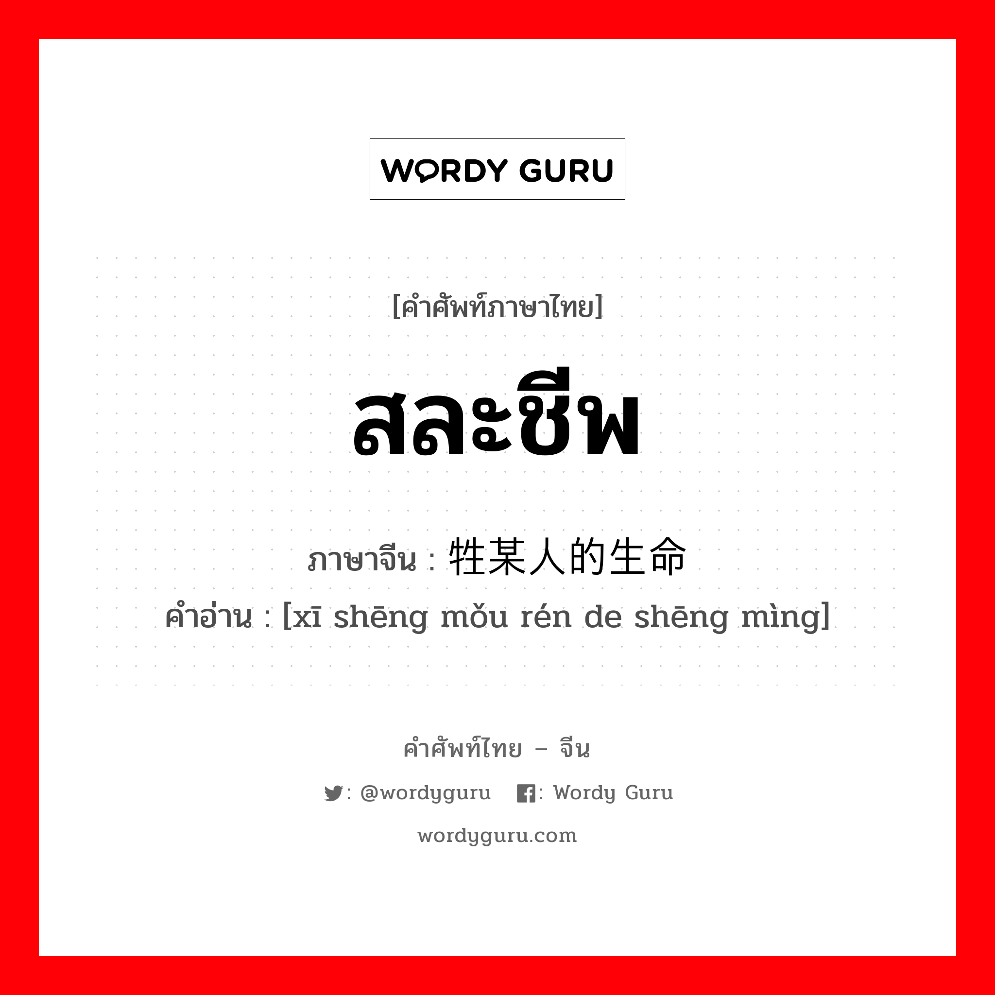 สละชีพ ภาษาจีนคืออะไร, คำศัพท์ภาษาไทย - จีน สละชีพ ภาษาจีน 牺牲某人的生命 คำอ่าน [xī shēng mǒu rén de shēng mìng]