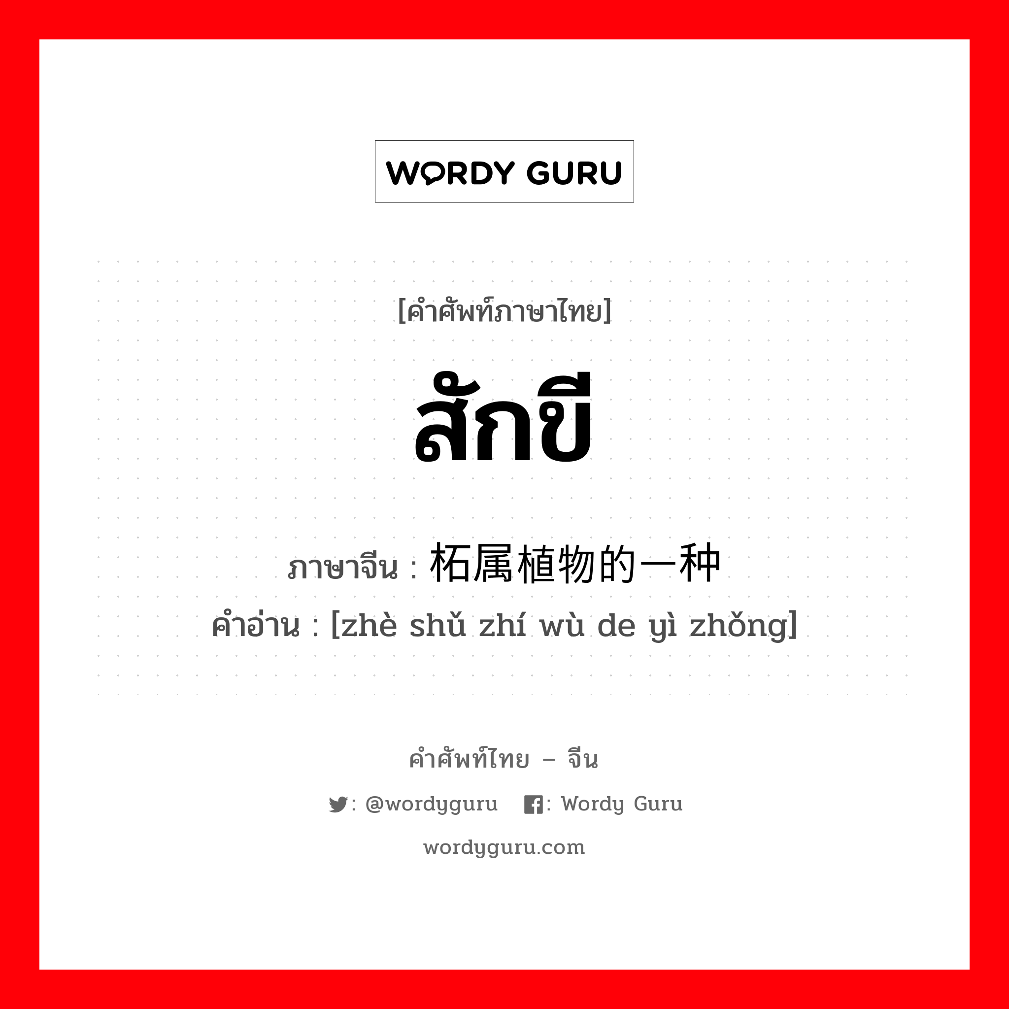 สักขี ภาษาจีนคืออะไร, คำศัพท์ภาษาไทย - จีน สักขี ภาษาจีน 柘属植物的一种 คำอ่าน [zhè shǔ zhí wù de yì zhǒng]