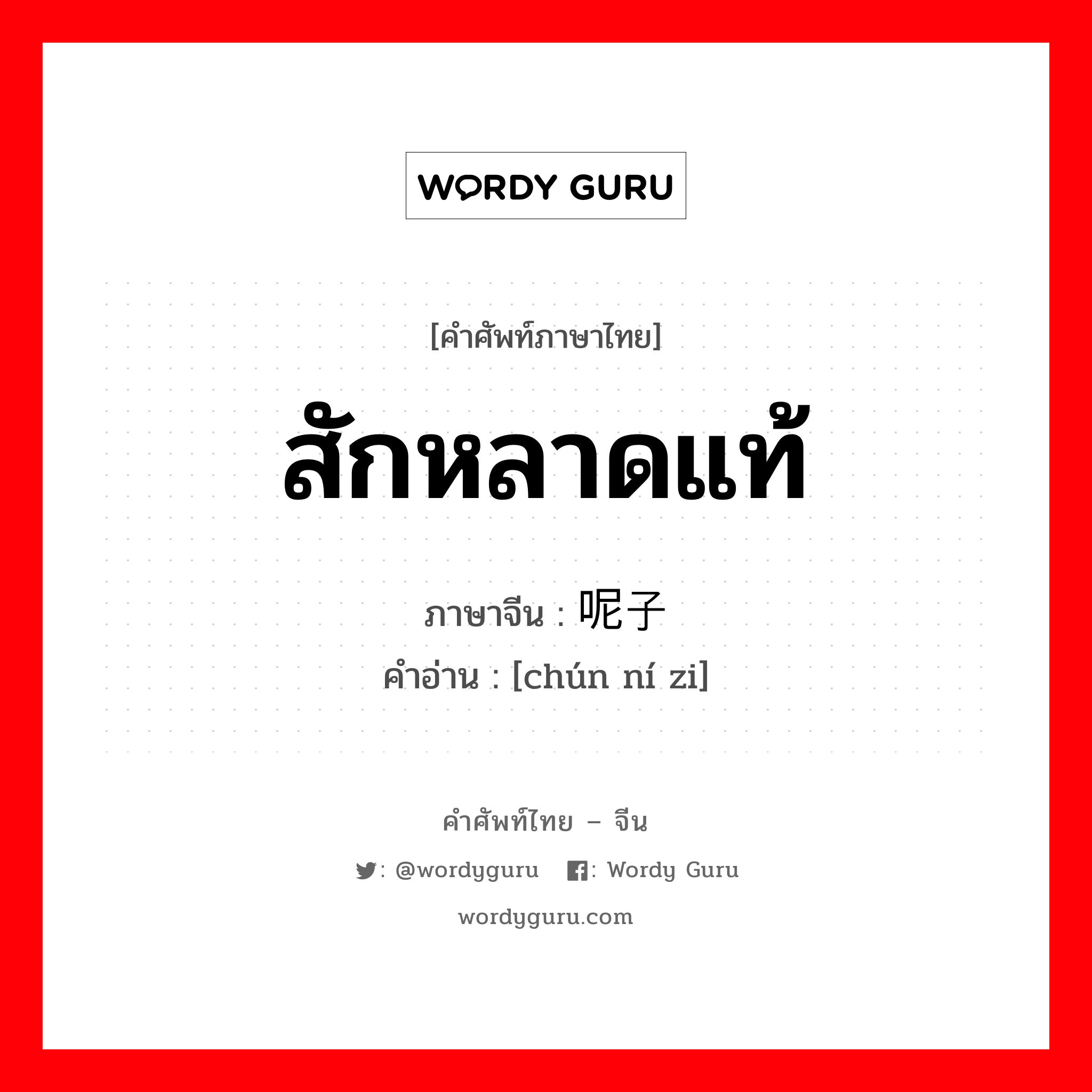 สักหลาดแท้ ภาษาจีนคืออะไร, คำศัพท์ภาษาไทย - จีน สักหลาดแท้ ภาษาจีน 纯呢子 คำอ่าน [chún ní zi]