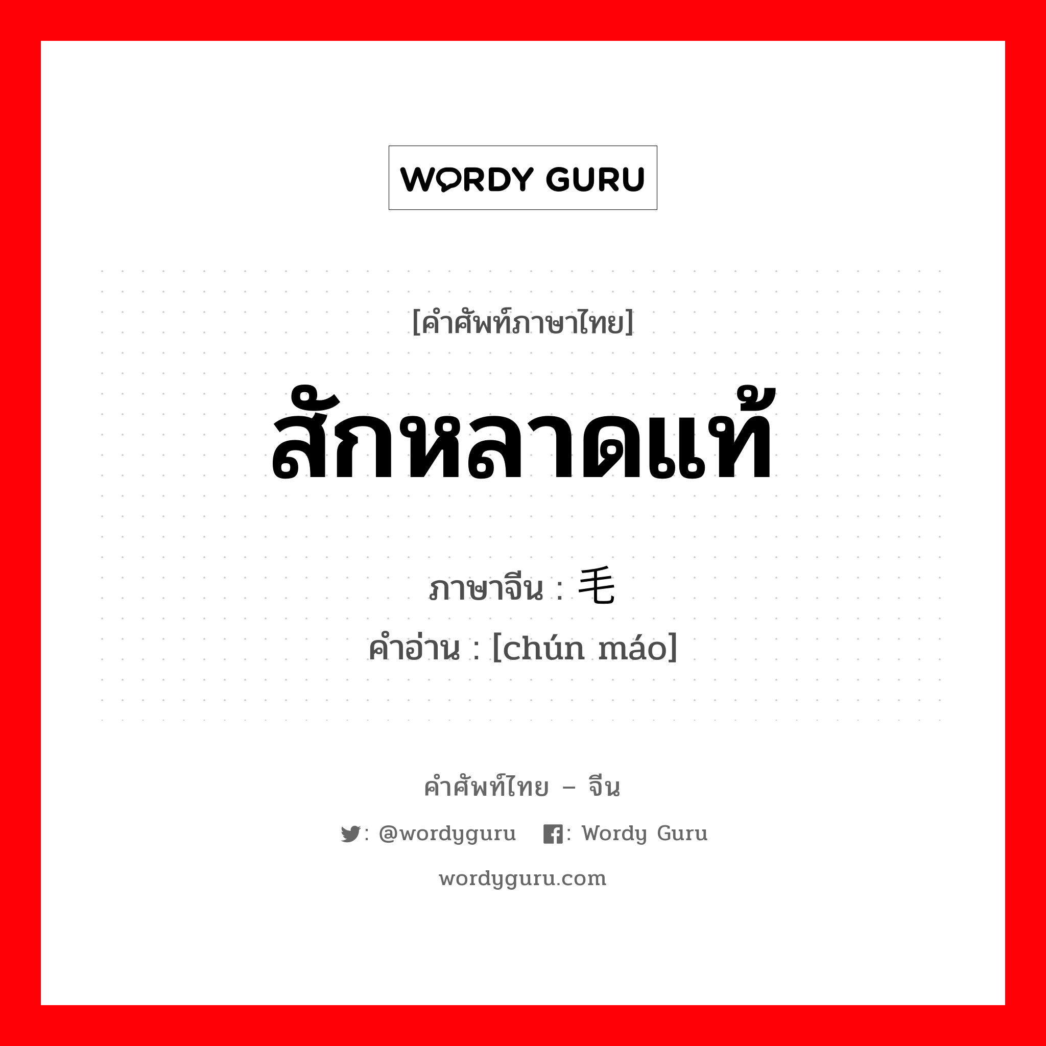 สักหลาดแท้ ภาษาจีนคืออะไร, คำศัพท์ภาษาไทย - จีน สักหลาดแท้ ภาษาจีน 纯毛 คำอ่าน [chún máo]