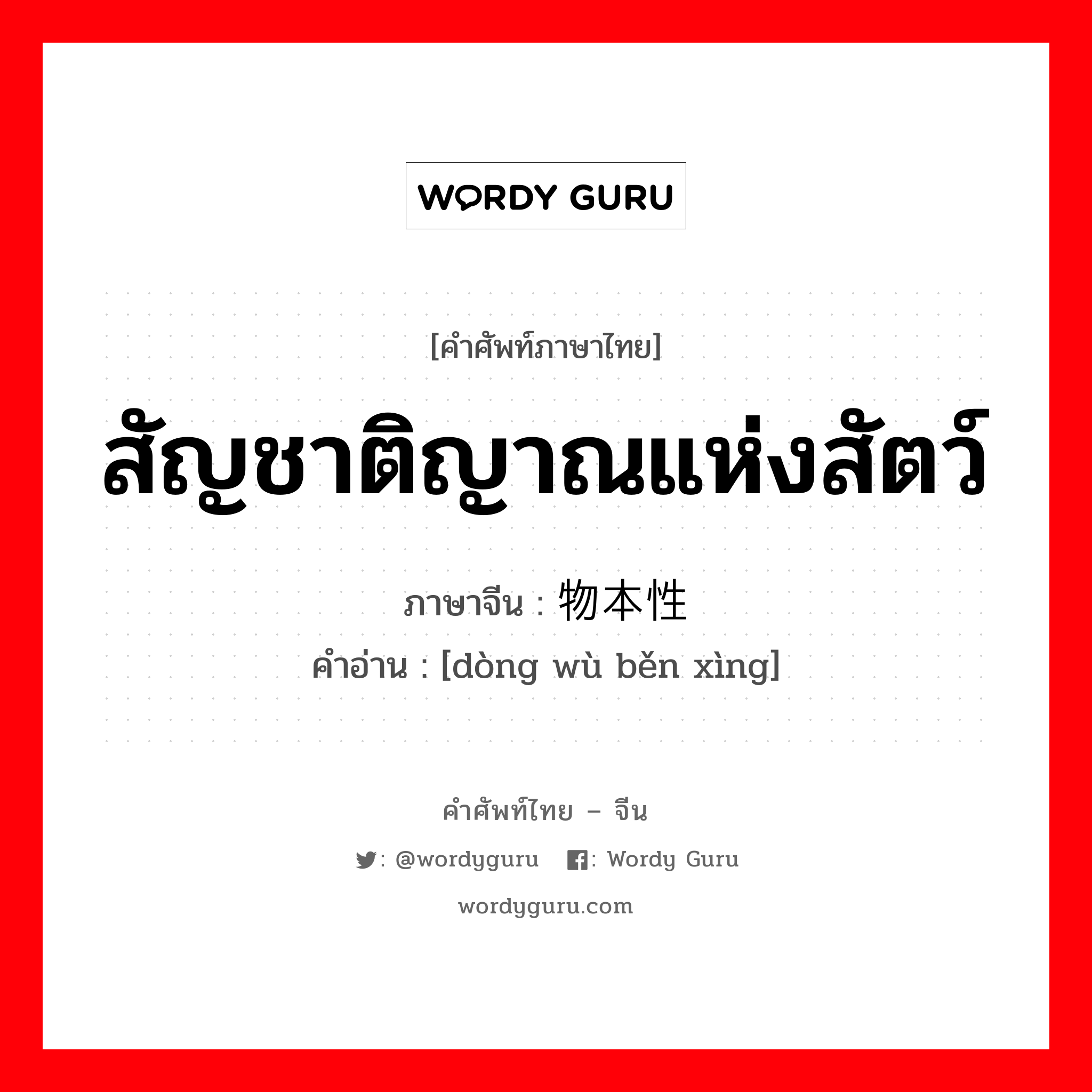 สัญชาติญาณแห่งสัตว์ ภาษาจีนคืออะไร, คำศัพท์ภาษาไทย - จีน สัญชาติญาณแห่งสัตว์ ภาษาจีน 动物本性 คำอ่าน [dòng wù běn xìng]