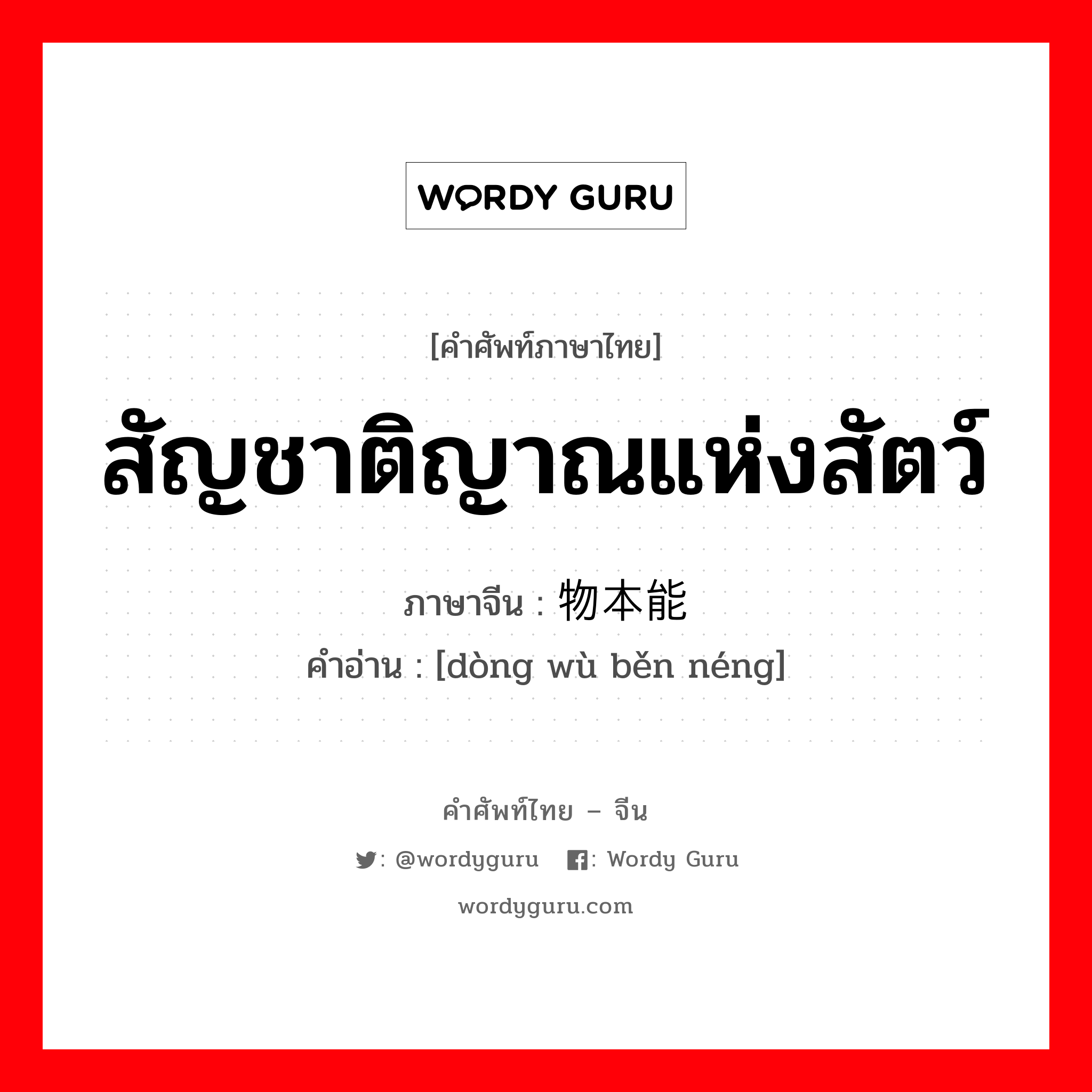 สัญชาติญาณแห่งสัตว์ ภาษาจีนคืออะไร, คำศัพท์ภาษาไทย - จีน สัญชาติญาณแห่งสัตว์ ภาษาจีน 动物本能 คำอ่าน [dòng wù běn néng]