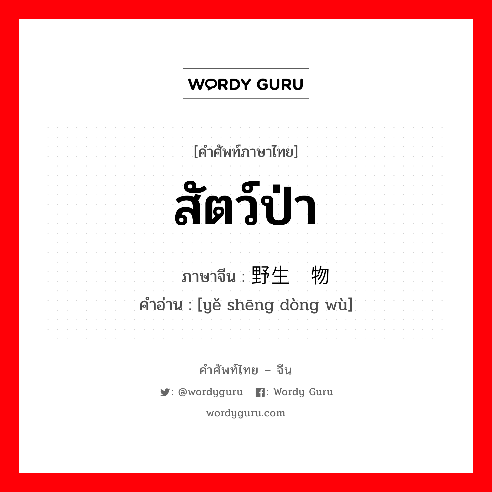 สัตว์ป่า ภาษาจีนคืออะไร, คำศัพท์ภาษาไทย - จีน สัตว์ป่า ภาษาจีน 野生动物 คำอ่าน [yě shēng dòng wù]