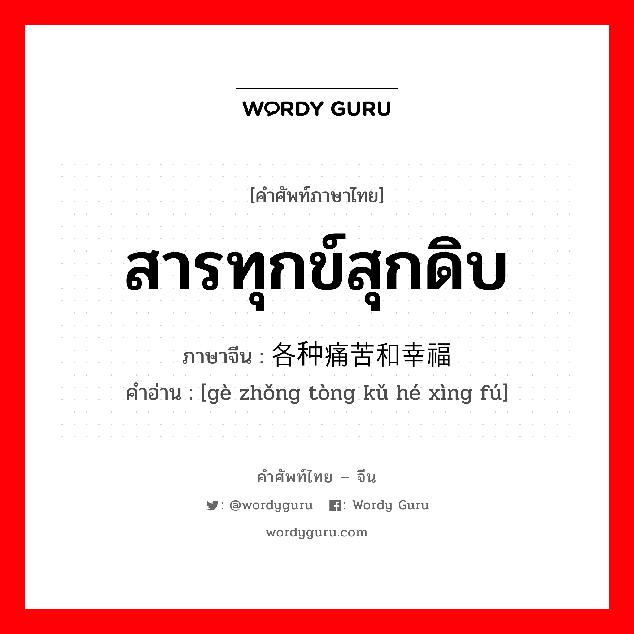 สารทุกข์สุกดิบ ภาษาจีนคืออะไร, คำศัพท์ภาษาไทย - จีน สารทุกข์สุกดิบ ภาษาจีน 各种痛苦和幸福 คำอ่าน [gè zhǒng tòng kǔ hé xìng fú]