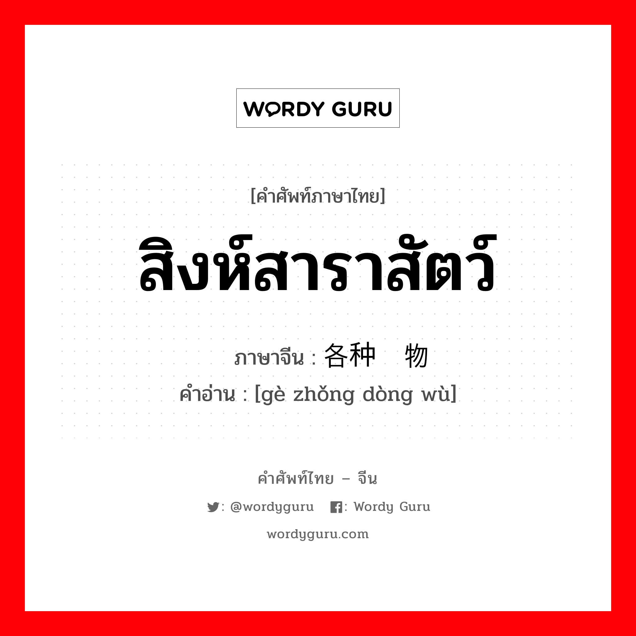 สิงห์สาราสัตว์ ภาษาจีนคืออะไร, คำศัพท์ภาษาไทย - จีน สิงห์สาราสัตว์ ภาษาจีน 各种动物 คำอ่าน [gè zhǒng dòng wù]