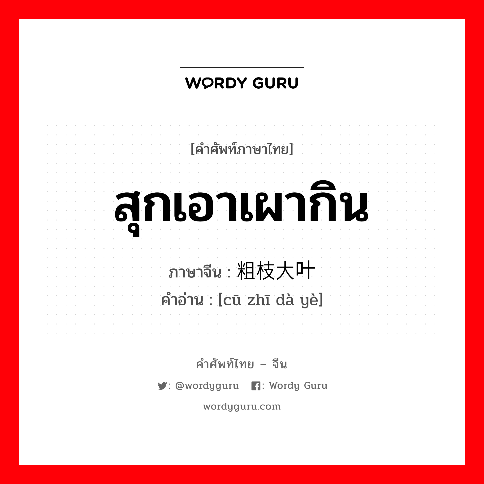 สุกเอาเผากิน ภาษาจีนคืออะไร, คำศัพท์ภาษาไทย - จีน สุกเอาเผากิน ภาษาจีน 粗枝大叶 คำอ่าน [cū zhī dà yè]