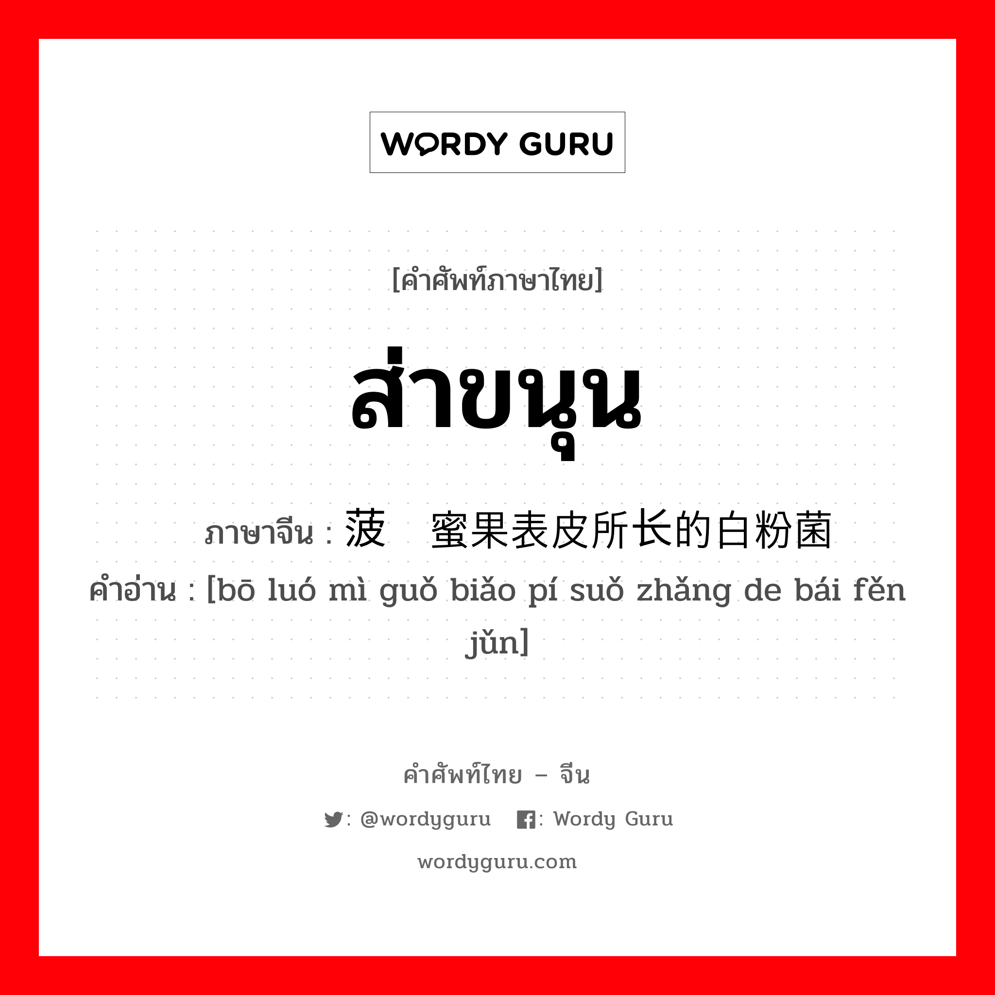 ส่าขนุน ภาษาจีนคืออะไร, คำศัพท์ภาษาไทย - จีน ส่าขนุน ภาษาจีน 菠萝蜜果表皮所长的白粉菌 คำอ่าน [bō luó mì guǒ biǎo pí suǒ zhǎng de bái fěn jǔn]