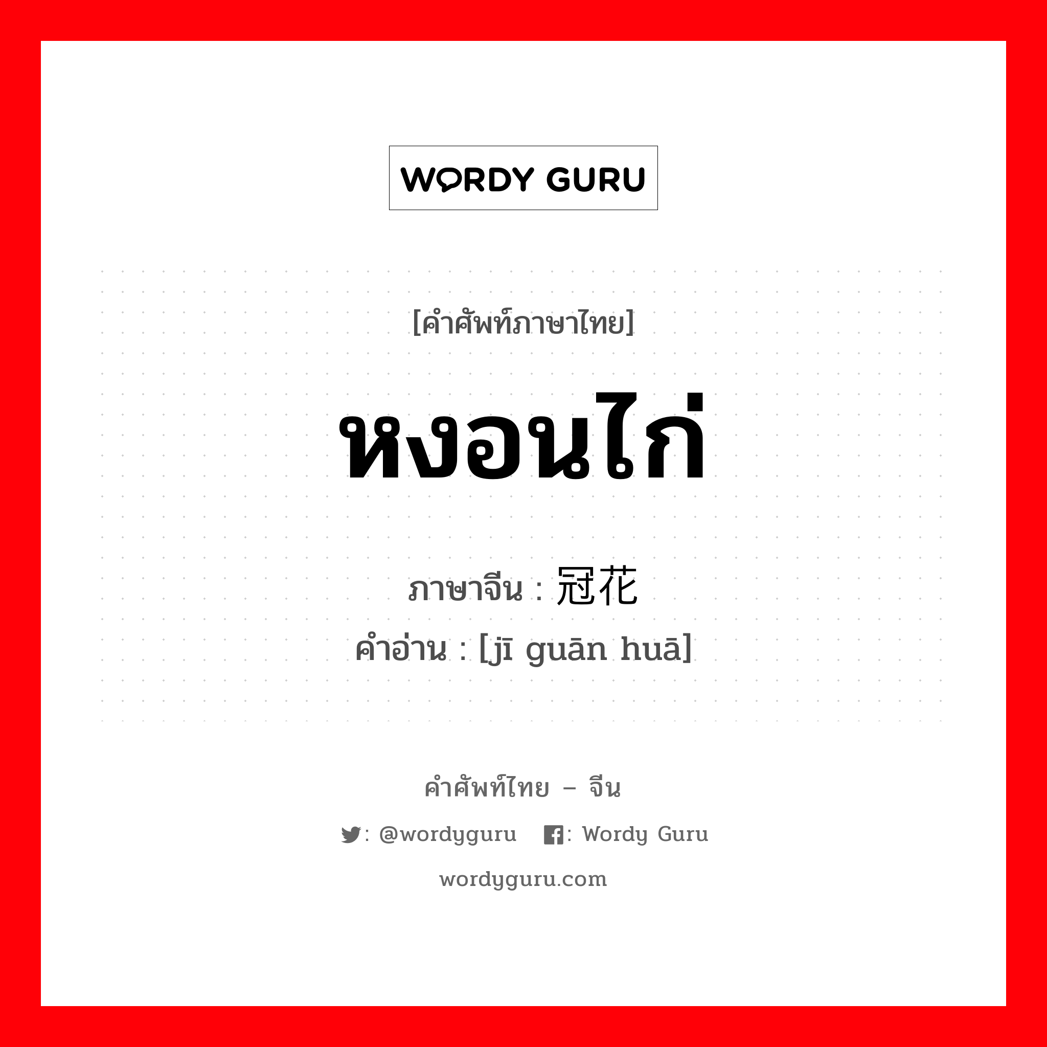 หงอนไก่ ภาษาจีนคืออะไร, คำศัพท์ภาษาไทย - จีน หงอนไก่ ภาษาจีน 鸡冠花 คำอ่าน [jī guān huā]