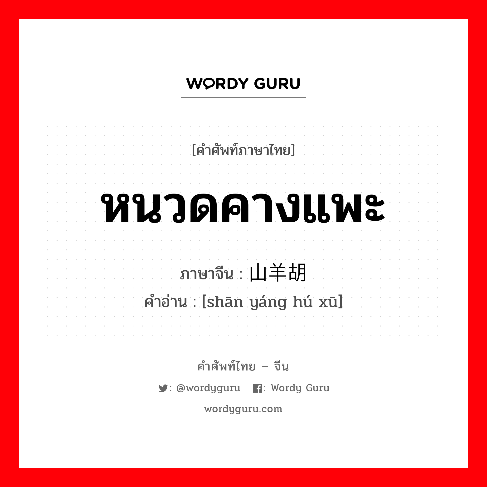 หนวดคางแพะ ภาษาจีนคืออะไร, คำศัพท์ภาษาไทย - จีน หนวดคางแพะ ภาษาจีน 山羊胡须 คำอ่าน [shān yáng hú xū]