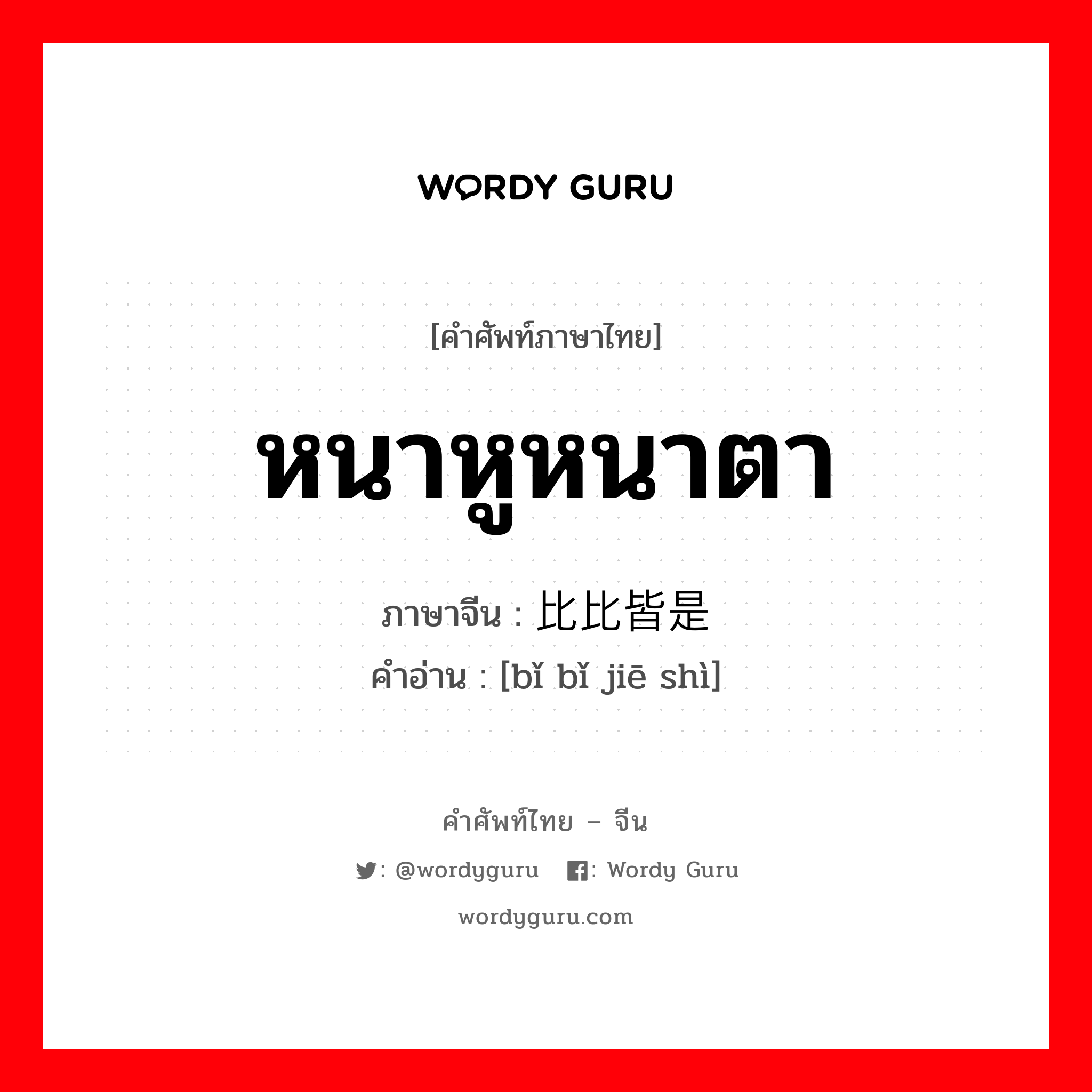 หนาหูหนาตา ภาษาจีนคืออะไร, คำศัพท์ภาษาไทย - จีน หนาหูหนาตา ภาษาจีน 比比皆是 คำอ่าน [bǐ bǐ jiē shì]