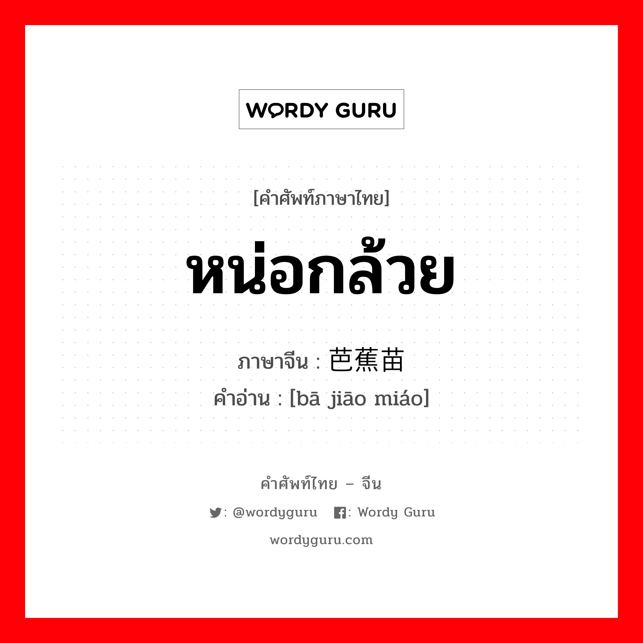 หน่อกล้วย ภาษาจีนคืออะไร, คำศัพท์ภาษาไทย - จีน หน่อกล้วย ภาษาจีน 芭蕉苗 คำอ่าน [bā jiāo miáo]