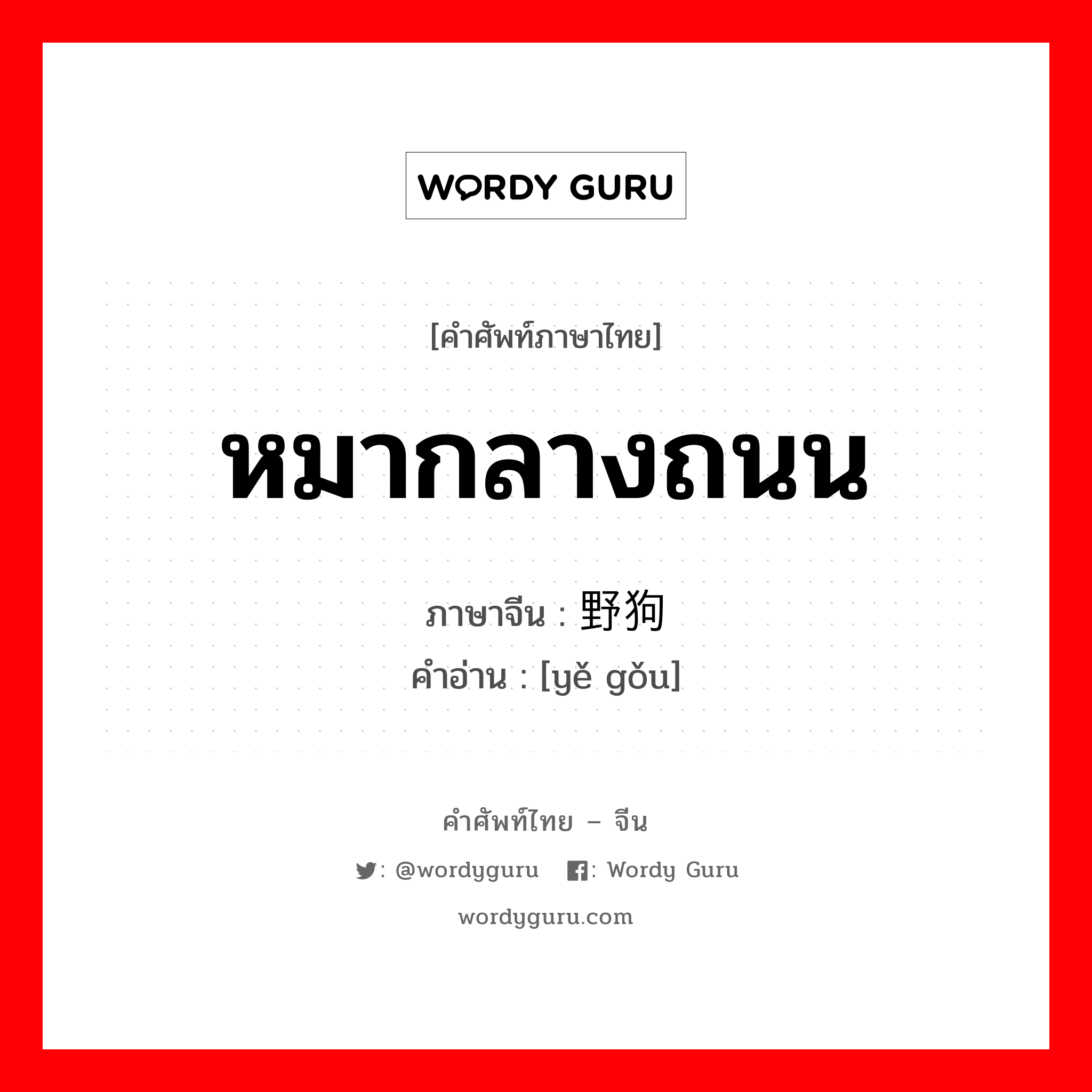 หมากลางถนน ภาษาจีนคืออะไร, คำศัพท์ภาษาไทย - จีน หมากลางถนน ภาษาจีน 野狗 คำอ่าน [yě gǒu]