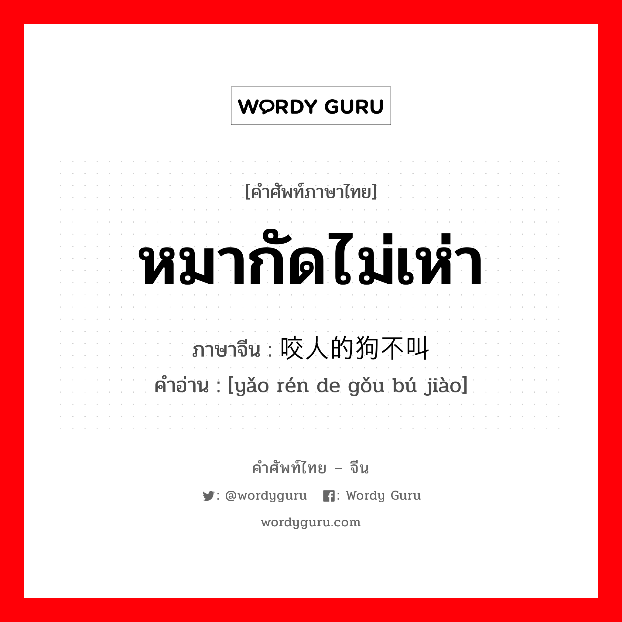 หมากัดไม่เห่า ภาษาจีนคืออะไร, คำศัพท์ภาษาไทย - จีน หมากัดไม่เห่า ภาษาจีน 咬人的狗不叫 คำอ่าน [yǎo rén de gǒu bú jiào]