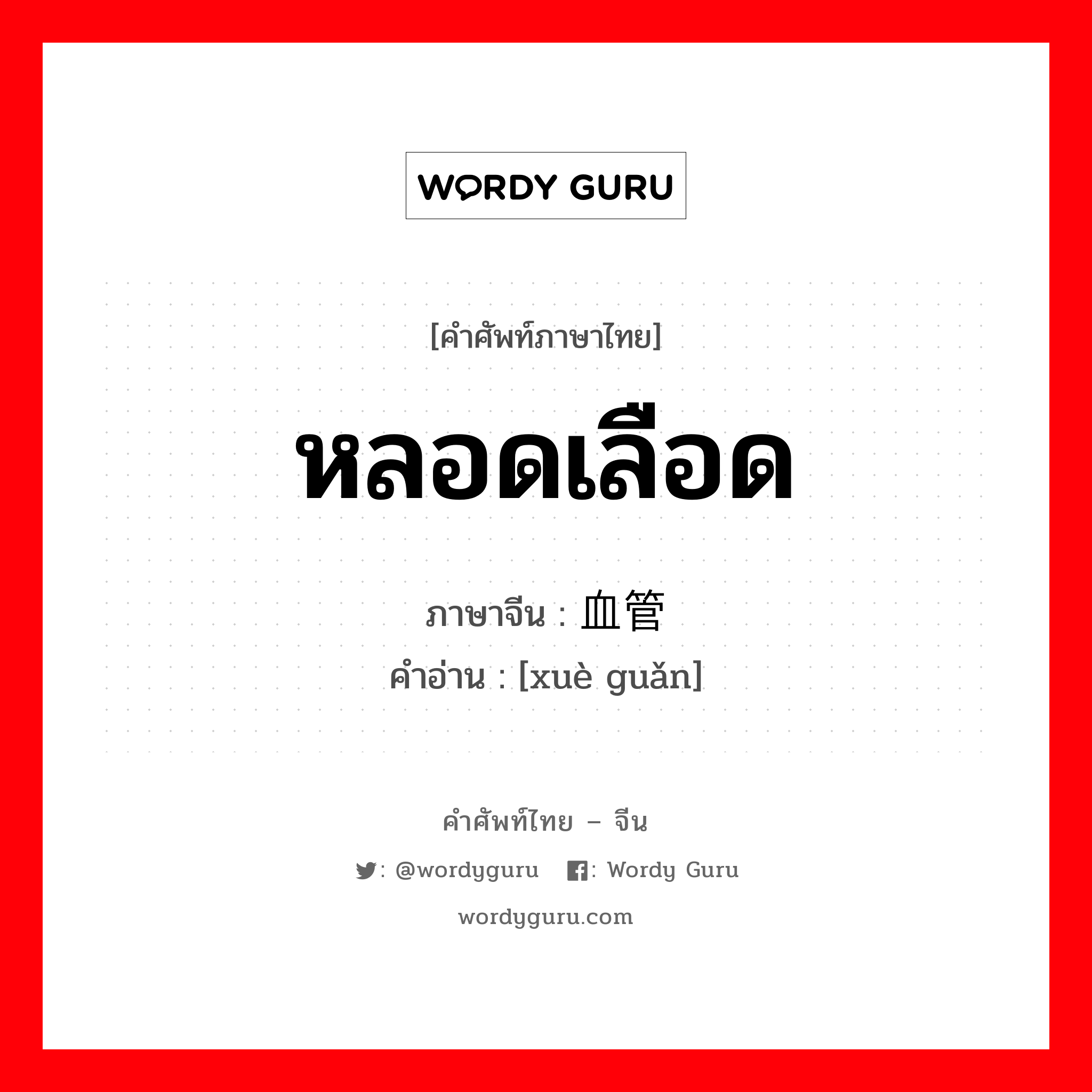 หลอดเลือด ภาษาจีนคืออะไร, คำศัพท์ภาษาไทย - จีน หลอดเลือด ภาษาจีน 血管 คำอ่าน [xuè guǎn]