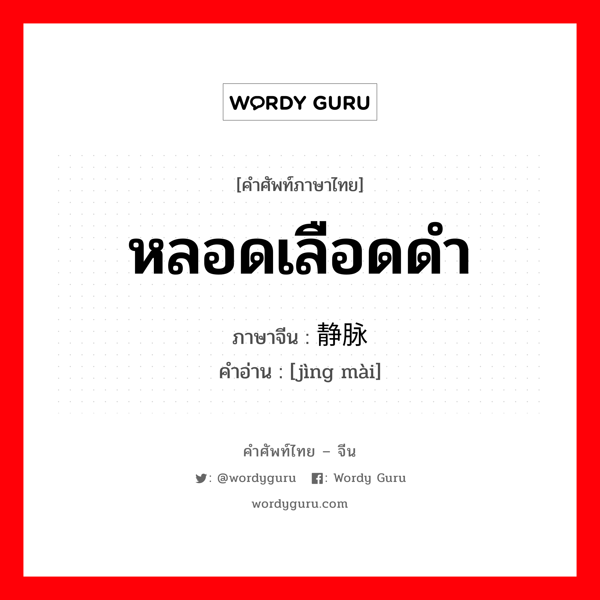 หลอดเลือดดำ ภาษาจีนคืออะไร, คำศัพท์ภาษาไทย - จีน หลอดเลือดดำ ภาษาจีน 静脉 คำอ่าน [jìng mài]