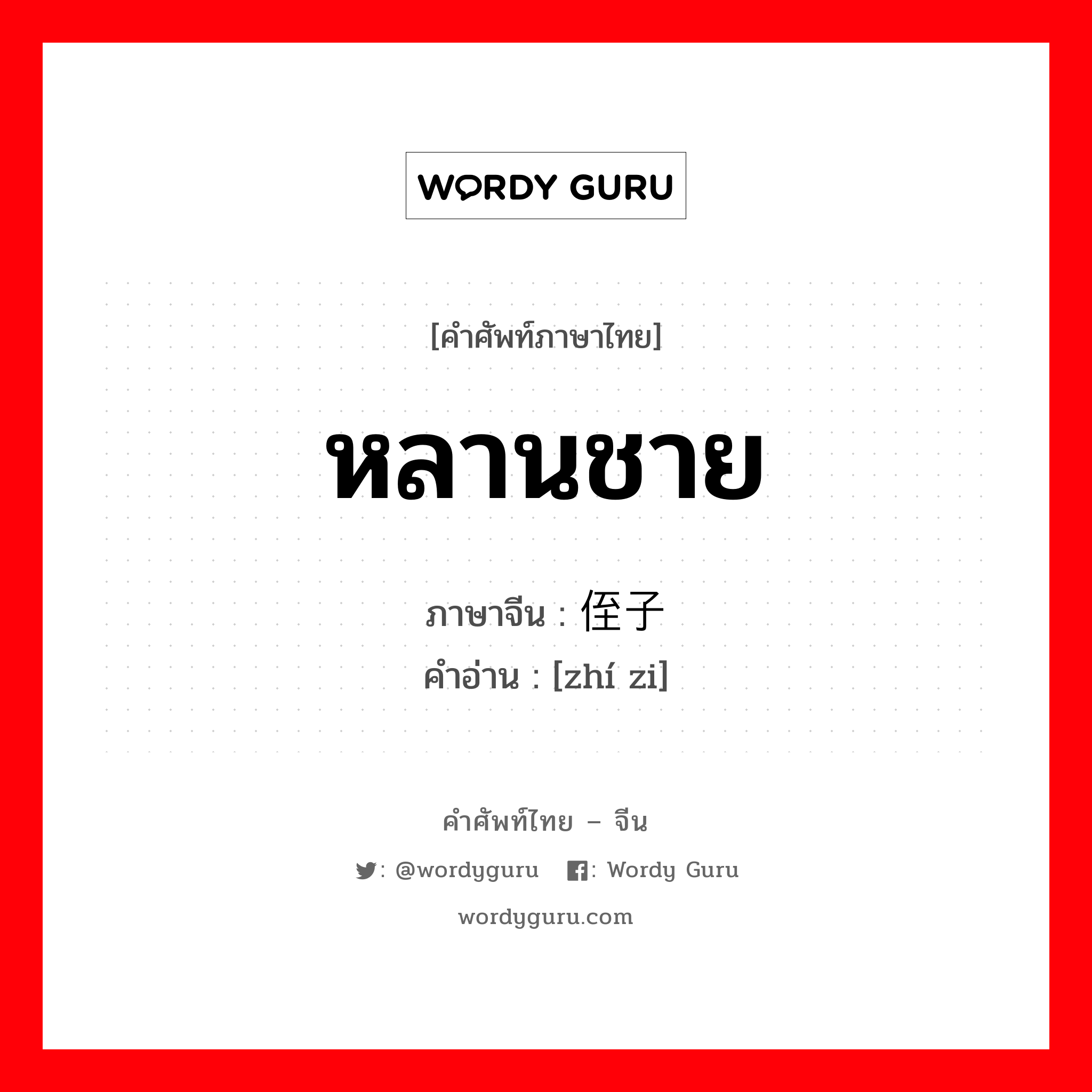 หลานชาย ภาษาจีนคืออะไร, คำศัพท์ภาษาไทย - จีน หลานชาย ภาษาจีน 侄子 คำอ่าน [zhí zi]