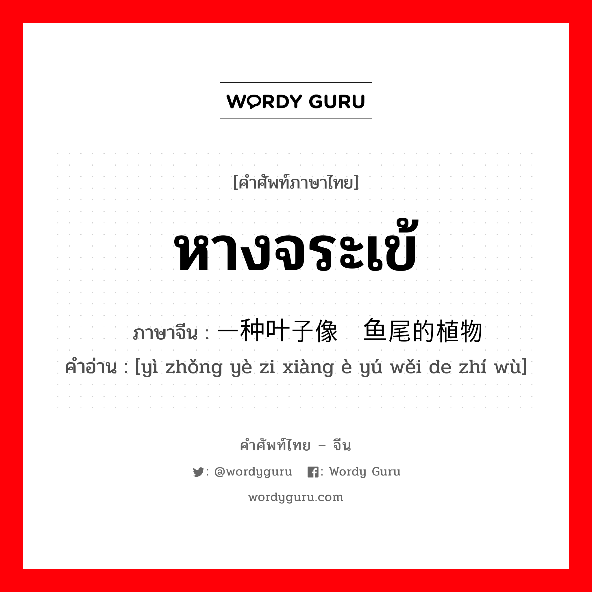 หางจระเข้ ภาษาจีนคืออะไร, คำศัพท์ภาษาไทย - จีน หางจระเข้ ภาษาจีน 一种叶子像鳄鱼尾的植物 คำอ่าน [yì zhǒng yè zi xiàng è yú wěi de zhí wù]