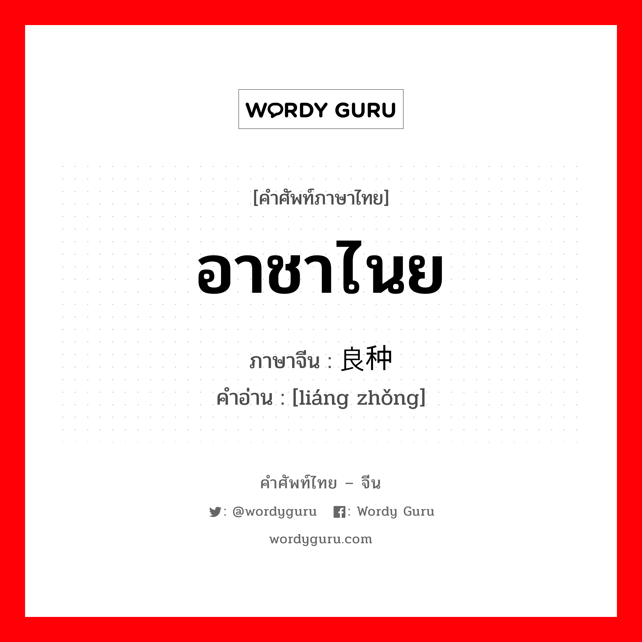 อาชาไนย ภาษาจีนคืออะไร, คำศัพท์ภาษาไทย - จีน อาชาไนย ภาษาจีน 良种 คำอ่าน [liáng zhǒng]