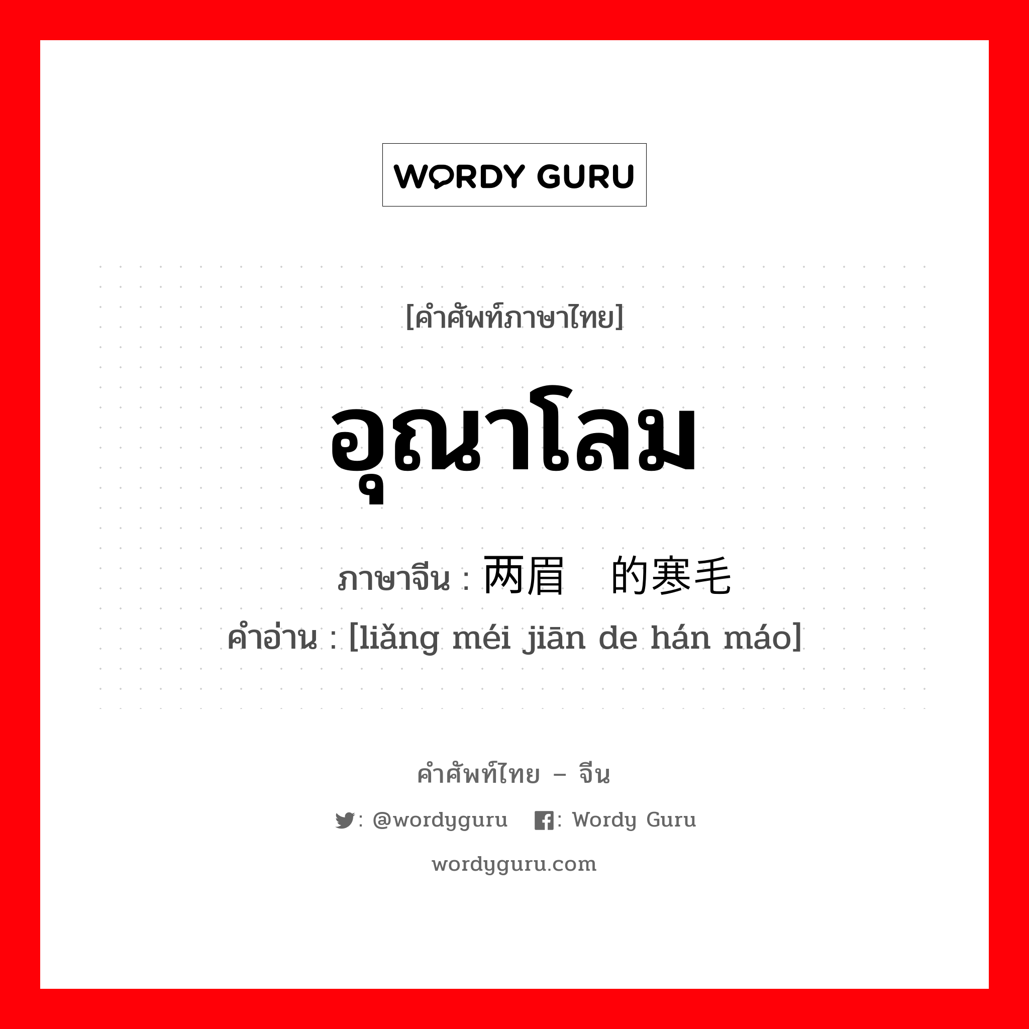 อุณาโลม ภาษาจีนคืออะไร, คำศัพท์ภาษาไทย - จีน อุณาโลม ภาษาจีน 两眉间的寒毛 คำอ่าน [liǎng méi jiān de hán máo]