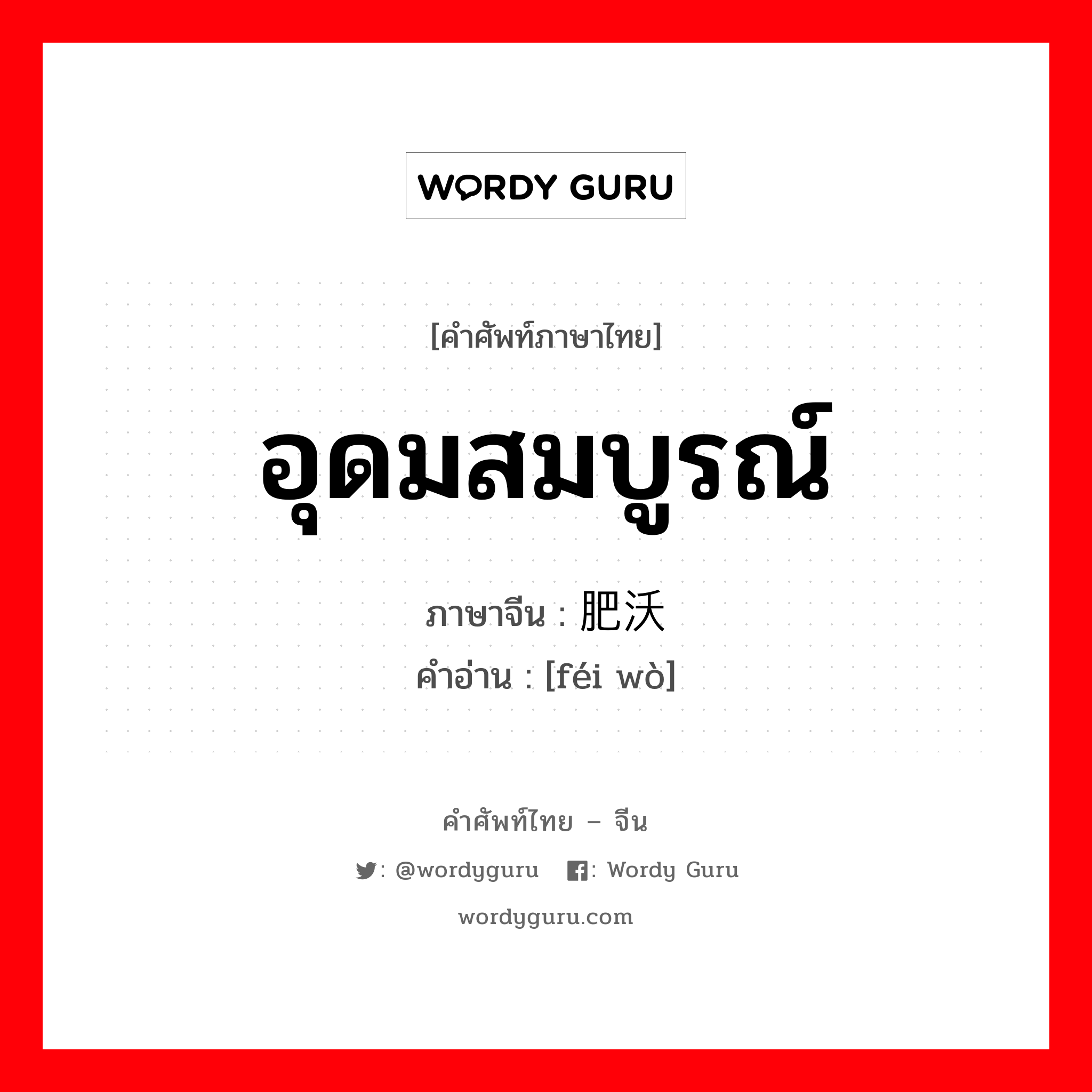 อุดมสมบูรณ์ ภาษาจีนคืออะไร, คำศัพท์ภาษาไทย - จีน อุดมสมบูรณ์ ภาษาจีน 肥沃 คำอ่าน [féi wò]