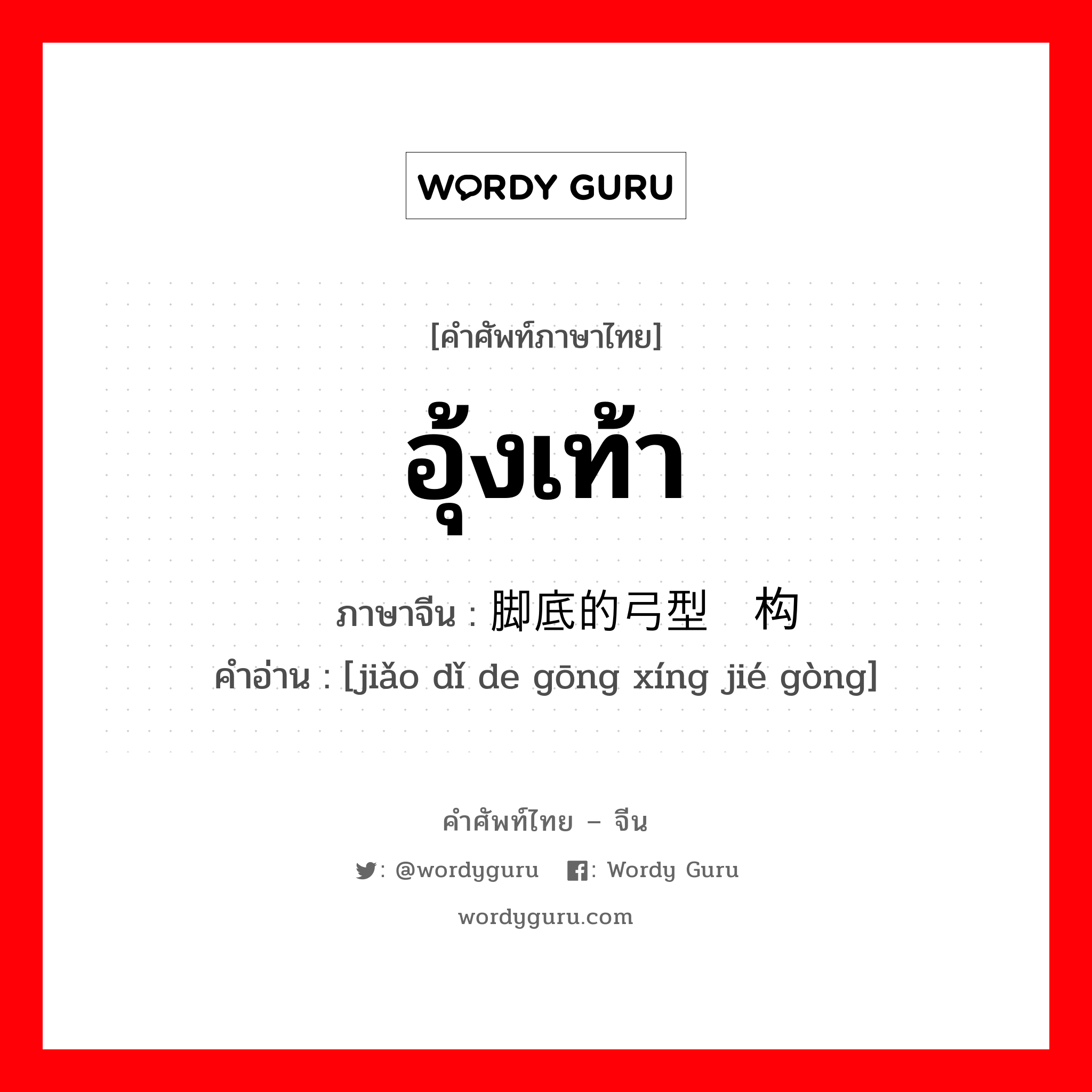 อุ้งเท้า ภาษาจีนคืออะไร, คำศัพท์ภาษาไทย - จีน อุ้งเท้า ภาษาจีน 脚底的弓型结构 คำอ่าน [jiǎo dǐ de gōng xíng jié gòng]