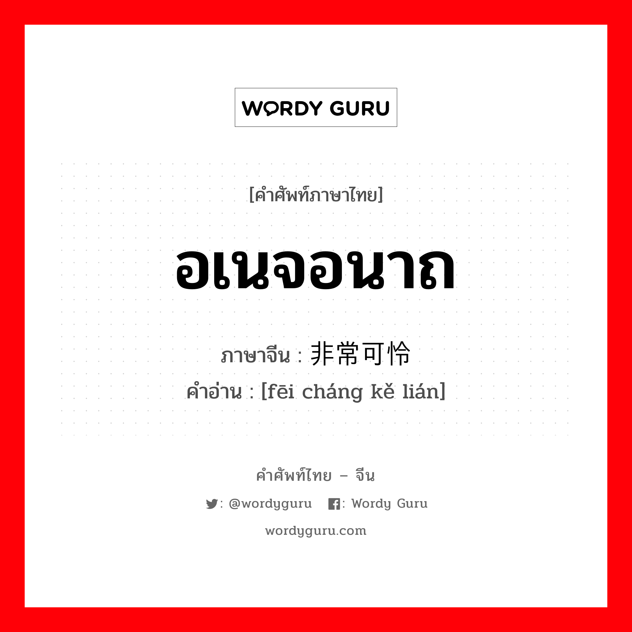 อเนจอนาถ ภาษาจีนคืออะไร, คำศัพท์ภาษาไทย - จีน อเนจอนาถ ภาษาจีน 非常可怜 คำอ่าน [fēi cháng kě lián]