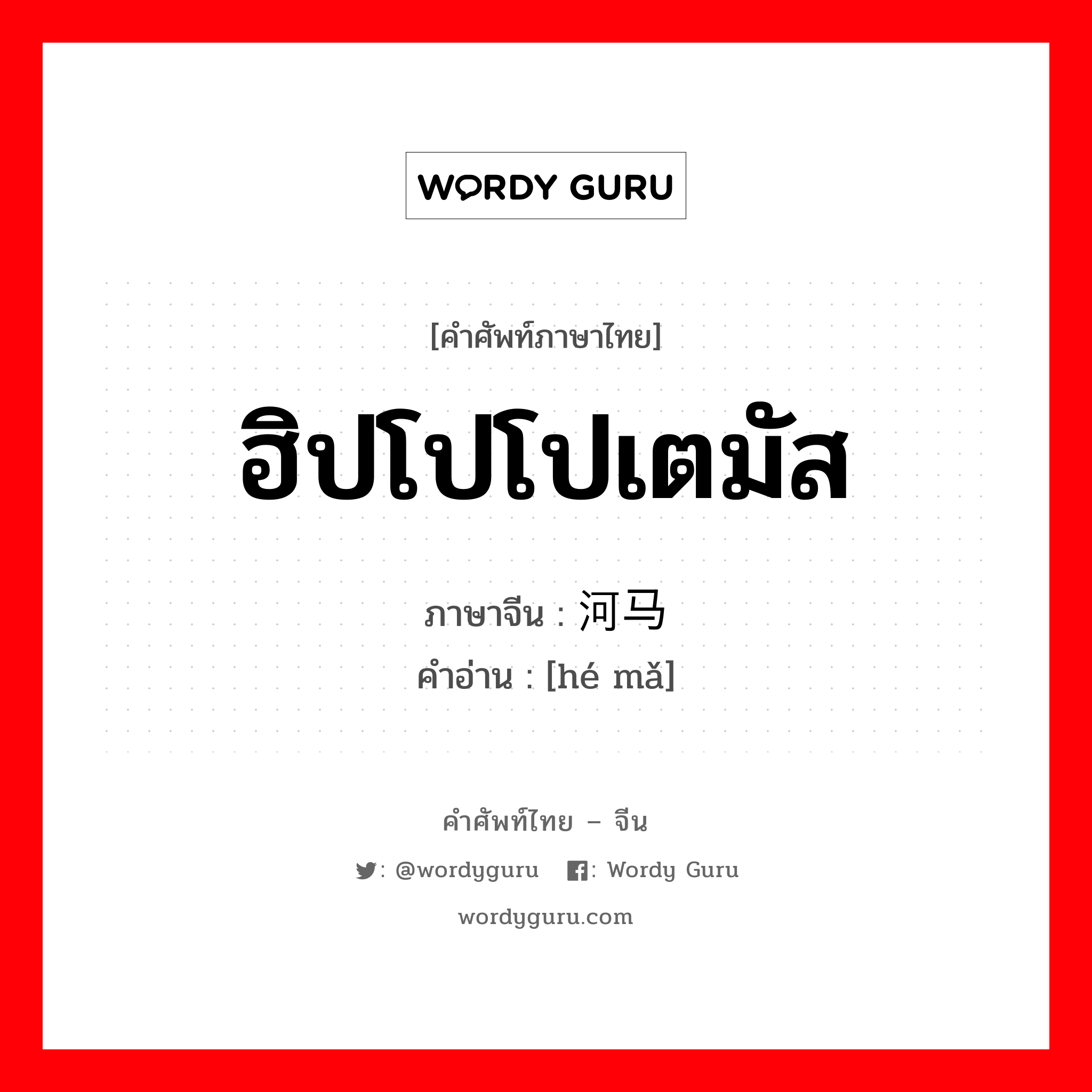 ฮิปโปโปเตมัส ภาษาจีนคืออะไร, คำศัพท์ภาษาไทย - จีน ฮิปโปโปเตมัส ภาษาจีน 河马 คำอ่าน [hé mǎ]