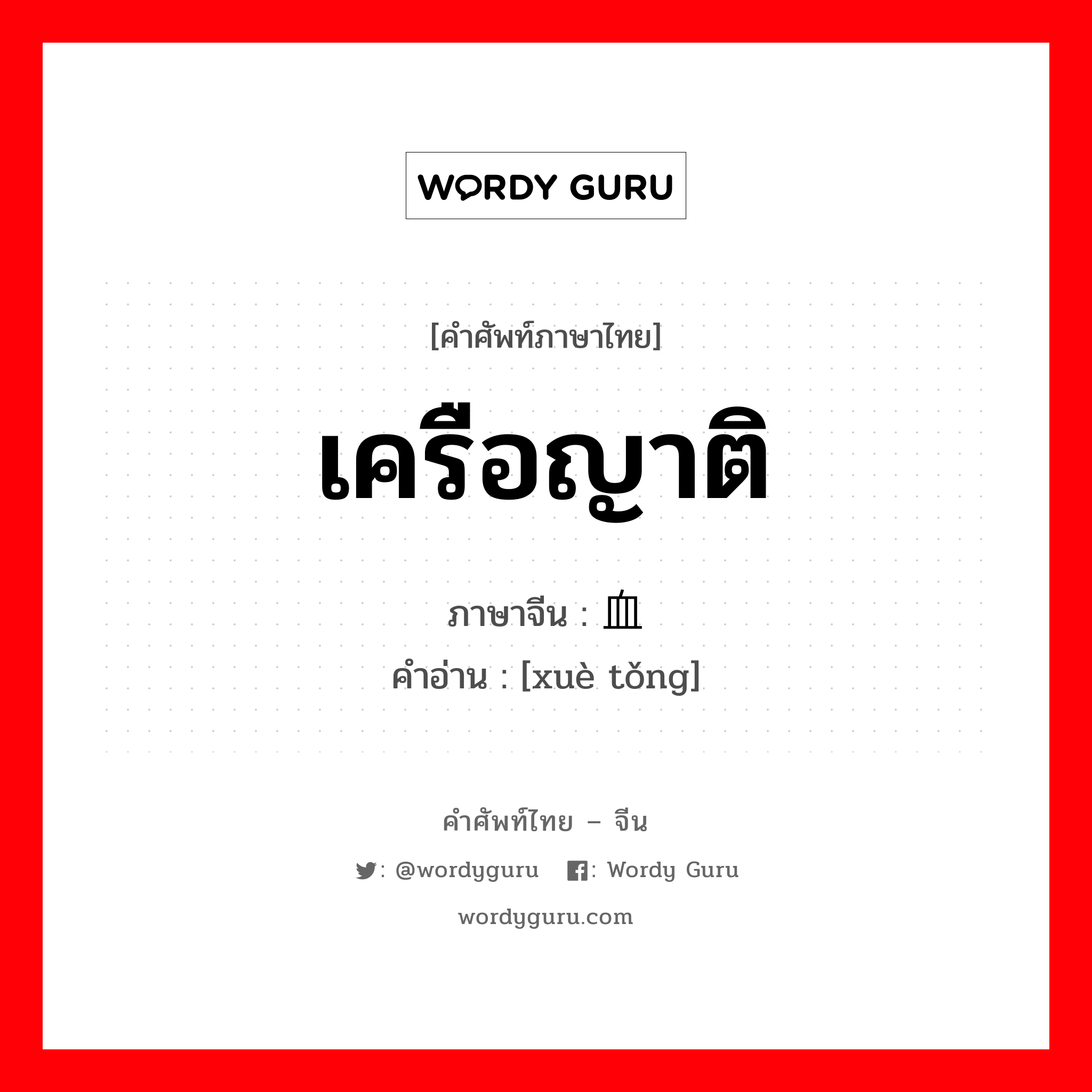 เครือญาติ ภาษาจีนคืออะไร, คำศัพท์ภาษาไทย - จีน เครือญาติ ภาษาจีน 血统 คำอ่าน [xuè tǒng]