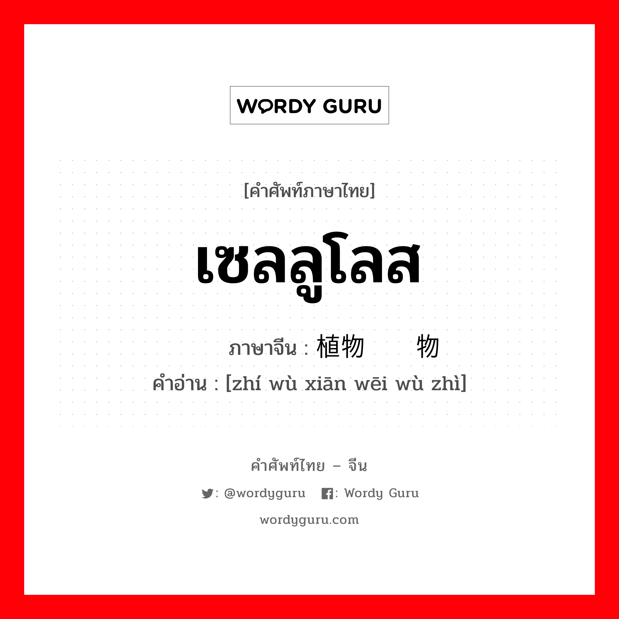 เซลลูโลส ภาษาจีนคืออะไร, คำศัพท์ภาษาไทย - จีน เซลลูโลส ภาษาจีน 植物纤维物质 คำอ่าน [zhí wù xiān wēi wù zhì]