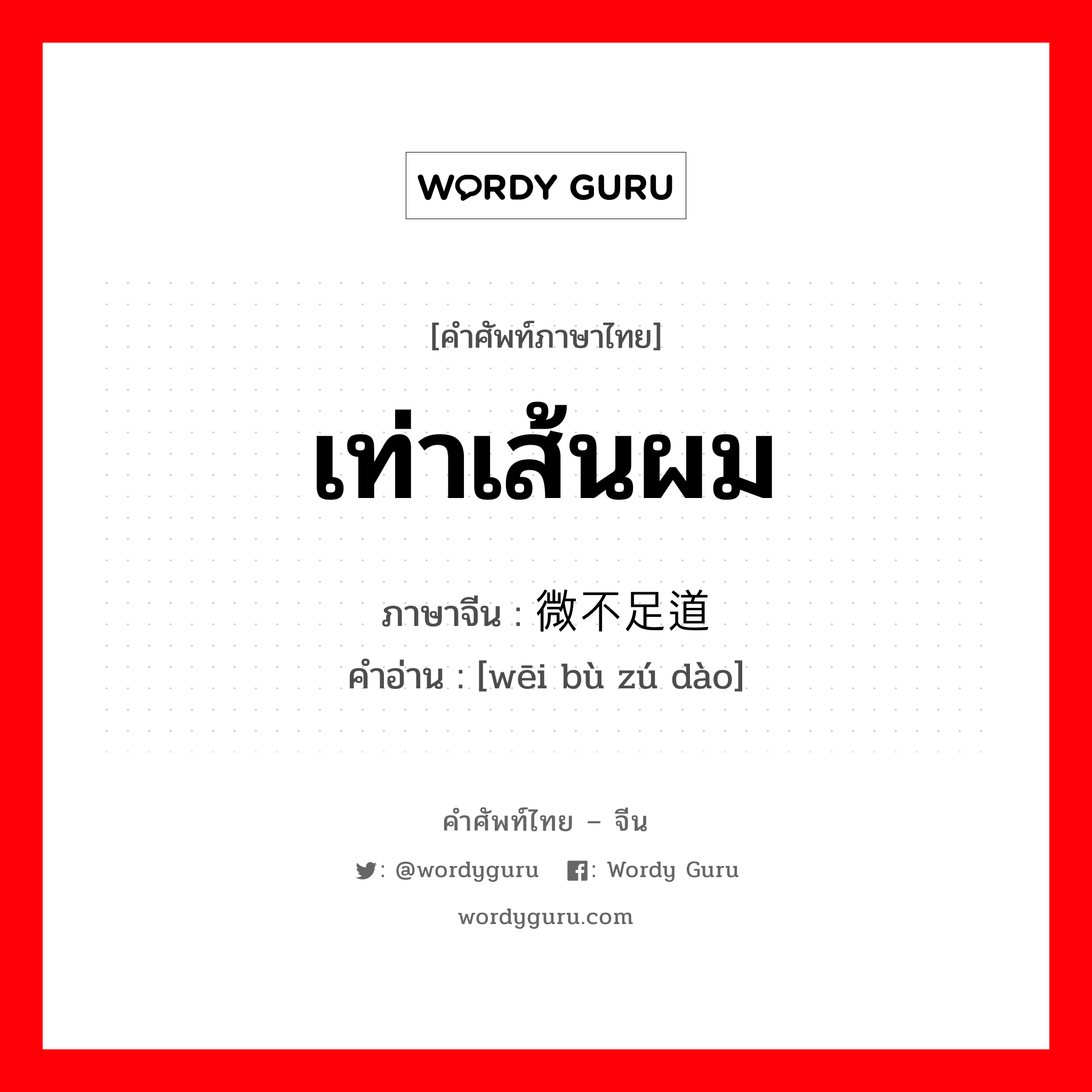 เท่าเส้นผม ภาษาจีนคืออะไร, คำศัพท์ภาษาไทย - จีน เท่าเส้นผม ภาษาจีน 微不足道 คำอ่าน [wēi bù zú dào]